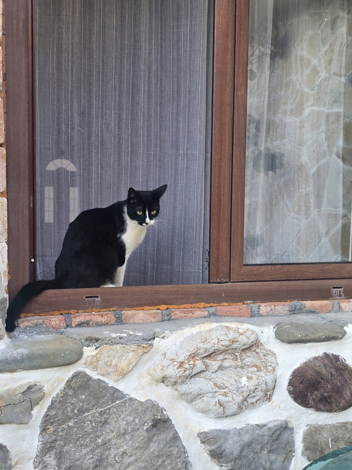 A black and white cat sits on a wooden windowsill in front of a window with a screen. The cat is looking to its right with yellow eyes. The window frame is made of dark wood and is surrounded by a brick and stone exterior wall. The background outside the window is unclear, but appears to be a building with a stone facade. The image was taken in Podgorica, Montenegro.