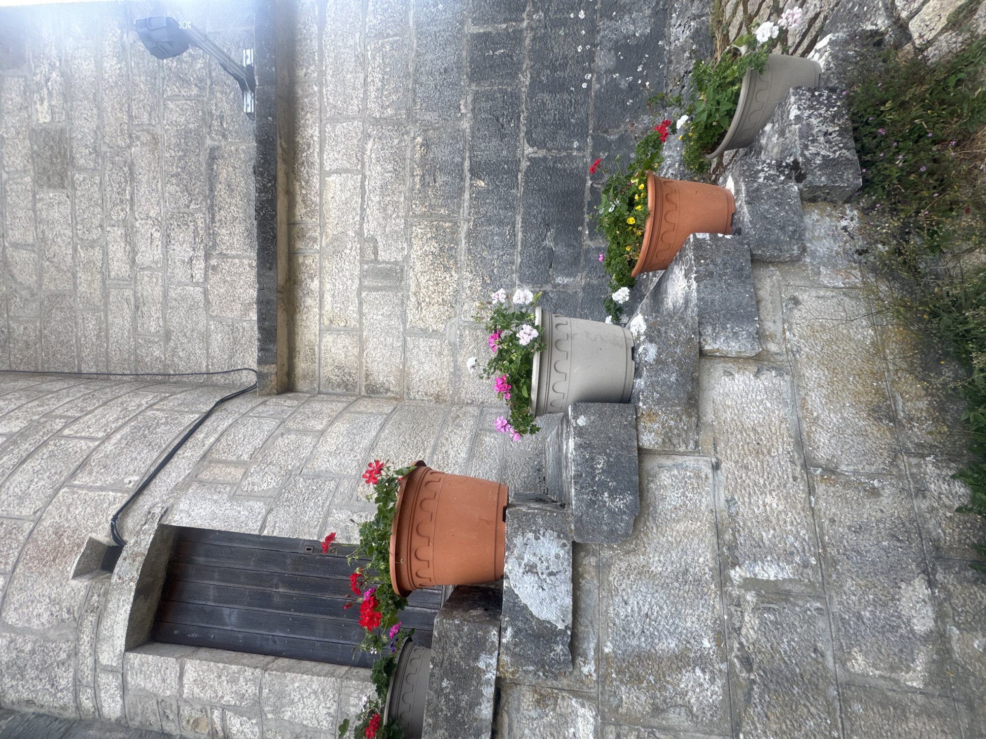 This image captures an outdoor scene at the Château de Grande-Rivière in France, focusing on a stone staircase and wall adorned with potted plants. The staircase, made of rough-hewn, grey stone blocks, leads up to a dark wooden door set into a curved stone wall. Several terracotta and light-colored planters filled with blooming flowers, predominantly red, pink, and white, are strategically placed on the steps and the ledge above. The stone wall, constructed from large, roughly finished blocks, shows signs of weathering and age, with patches of discoloration and moss. The lighting suggests it is daytime, with a bright glare on the upper right portion of the image, possibly indicating sunlight hitting a surface or a lens flare. Green foliage and small wildflowers grow at the base of the stairs, adding to the natural, slightly overgrown ambiance of the location.
