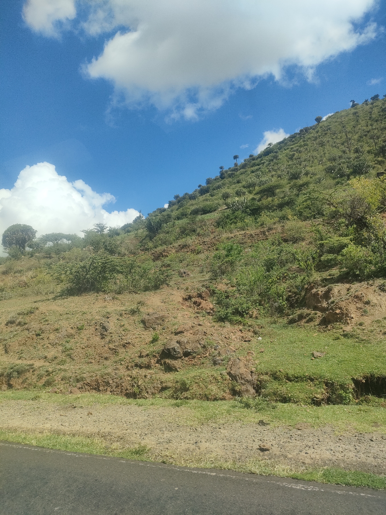 The image shows a sloping hillside in Kisima ward, Kenya, under a partly cloudy blue sky. The terrain is varied, with patches of green grass, bare brown soil, rocks, and scrub vegetation. Taller trees and cacti are sparsely distributed across the upper part of the hillside. A paved road with a grassy shoulder is visible in the foreground. No people are visible in the scene.