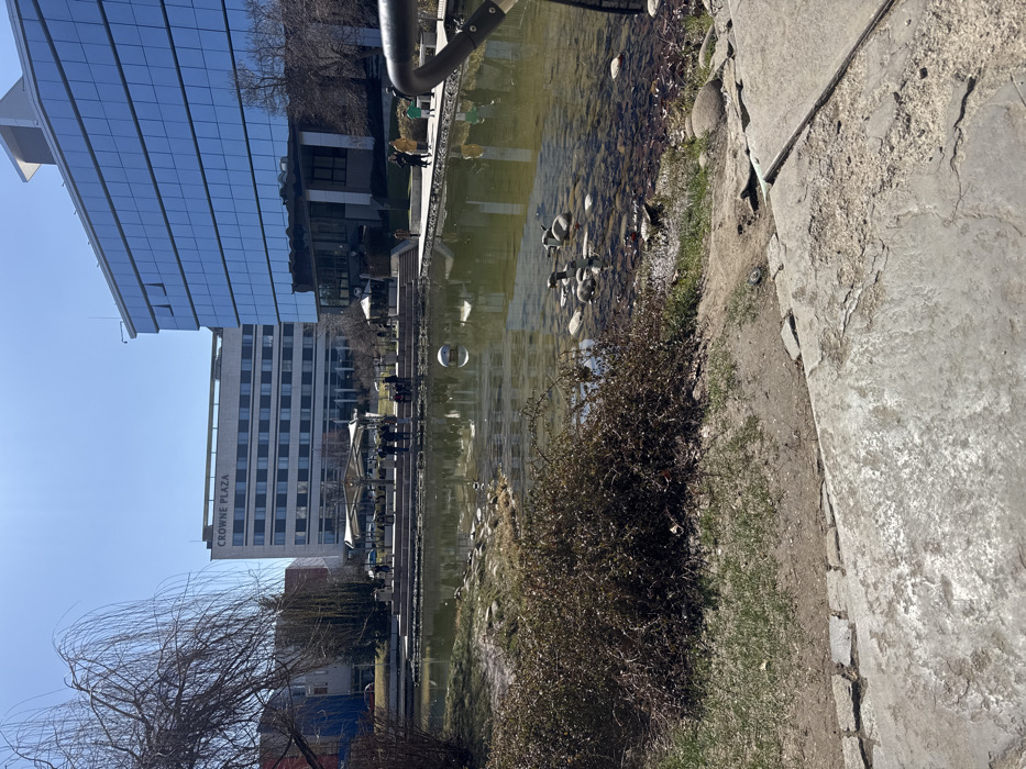 The image depicts an outdoor urban scene at Business Park Sofia, Bulgaria, specifically around the artificial pond area, with the Crowne Plaza hotel prominent in the background. The sky is clear and bright blue, illuminated by strong sunlight.
In the foreground, a rough dirt patch with sparse grass and a dense, bare, thorny bush occupies the left. To the right, cracked and uneven concrete pavement is visible.
The midground is dominated by a pond with greenish water, reflecting the surrounding buildings and sky. A white spherical object floats near the center-left of the pond. In the shallower water on the right, several rocks and two light-colored, duck-shaped decorative statues are partially submerged.
On the far side of the pond, a raised stone or concrete promenade with a series of steps leads to an outdoor patio area. This patio features several white canopy umbrellas and tables, beneath which a group of approximately 10-15 individuals are gathered, some seated, some standing.
Behind this patio, the multi-story Crowne Plaza hotel building is visible, featuring a light-toned facade with multiple rows of dark windows. The "CROWNE PLAZA" signage is clearly legible on the upper portion of the building.
To the right of the Crowne Plaza, a modern, multi-story office building with a reflective blue glass facade rises, prominently reflecting the bright sky. Along the right edge of the pond, a paved walkway is visible where two adults and two children (one in a yellow jacket, one in a green top) are walking away from the camera. A dark metal railing or structure is partially visible in the far right foreground.