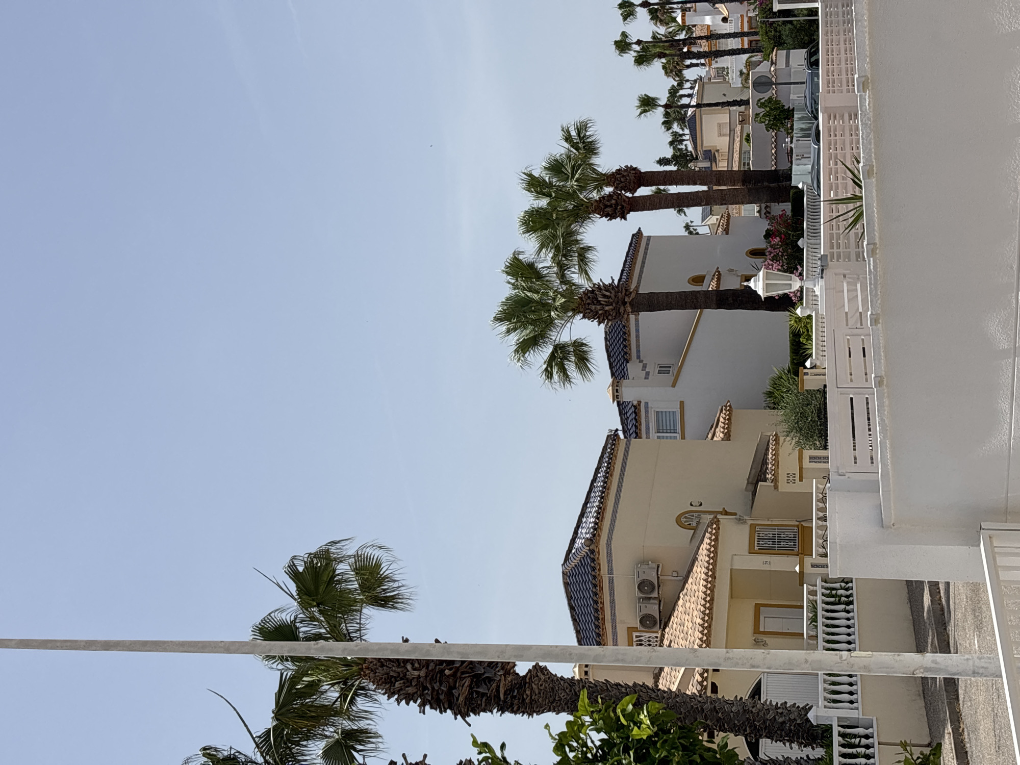 The image depicts a street scene in Orihuela, Spain, characterized by modern Mediterranean-style houses and abundant palm trees under a clear blue sky. The architecture features light-colored walls, terracotta tiled roofs, and decorative blue and white tile accents. Several houses have air conditioning units mounted on their exteriors. White wrought-iron fences and low white walls line the street and property boundaries. Numerous palm trees of varying heights, some tall and slender, others with fuller canopies, are prominent throughout the scene, suggesting a warm climate. In the background, a dense row of palm trees creates a lush backdrop. Two dark-colored vehicles are visible parked on the street behind a white lattice-like fence. The overall impression is one of a sunny, well-maintained residential area in a coastal or southern Spanish town.