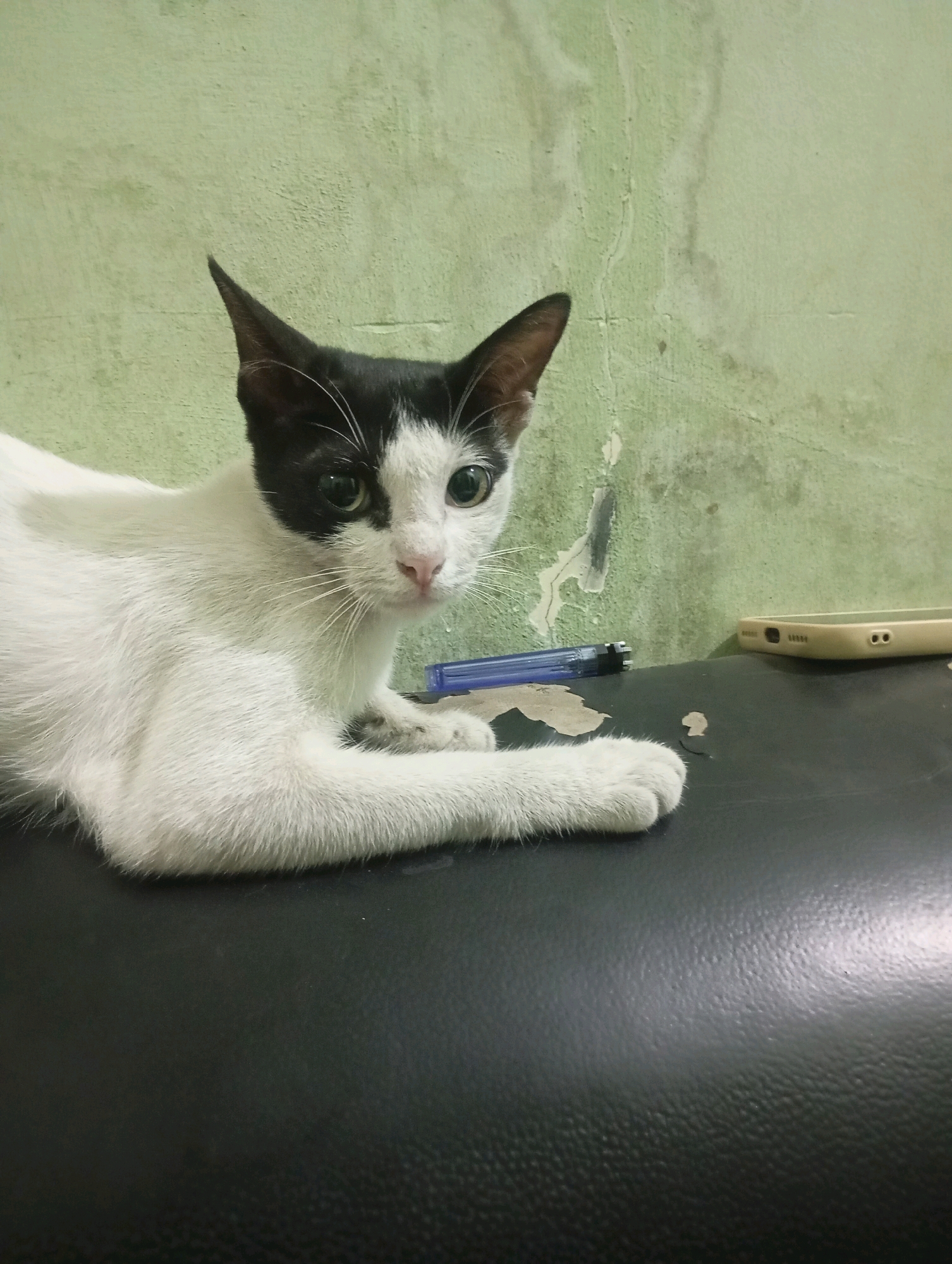 A black and white cat is lying on a dark, textured surface, possibly a sofa or a cushion, with its body angled towards the viewer. The cat has large green eyes and appears to be looking directly at the camera. Its fur is predominantly white with black markings on its head and ears. To the right of the cat, a light-colored smartphone lies flat on the surface, and a blue pen is positioned to the left of the cat. Behind the cat and the objects, a pale green wall with peeling paint and visible texture serves as the backdrop. The scene is indoors, likely in a residential setting in Babelan, Indonesia.