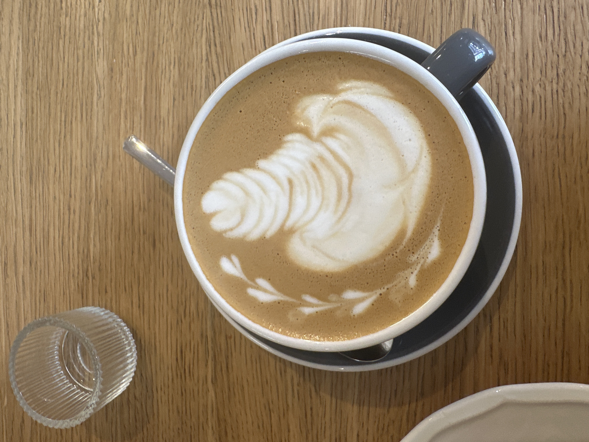 An overhead shot shows a cup of latte art with a swan design on a wooden table. A small glass of water is to the left of the cup. The cup is white with a grey saucer and handle. The latte art features white foam in the shape of a swan's neck and body, with a delicate leafy pattern extending from the left side of the cup. The table has a light wood grain. The scene appears to be in a cafe located in Vracar Urban Municipality, Serbia, given the coffee cup style and wooden table typical of cafes in that area.