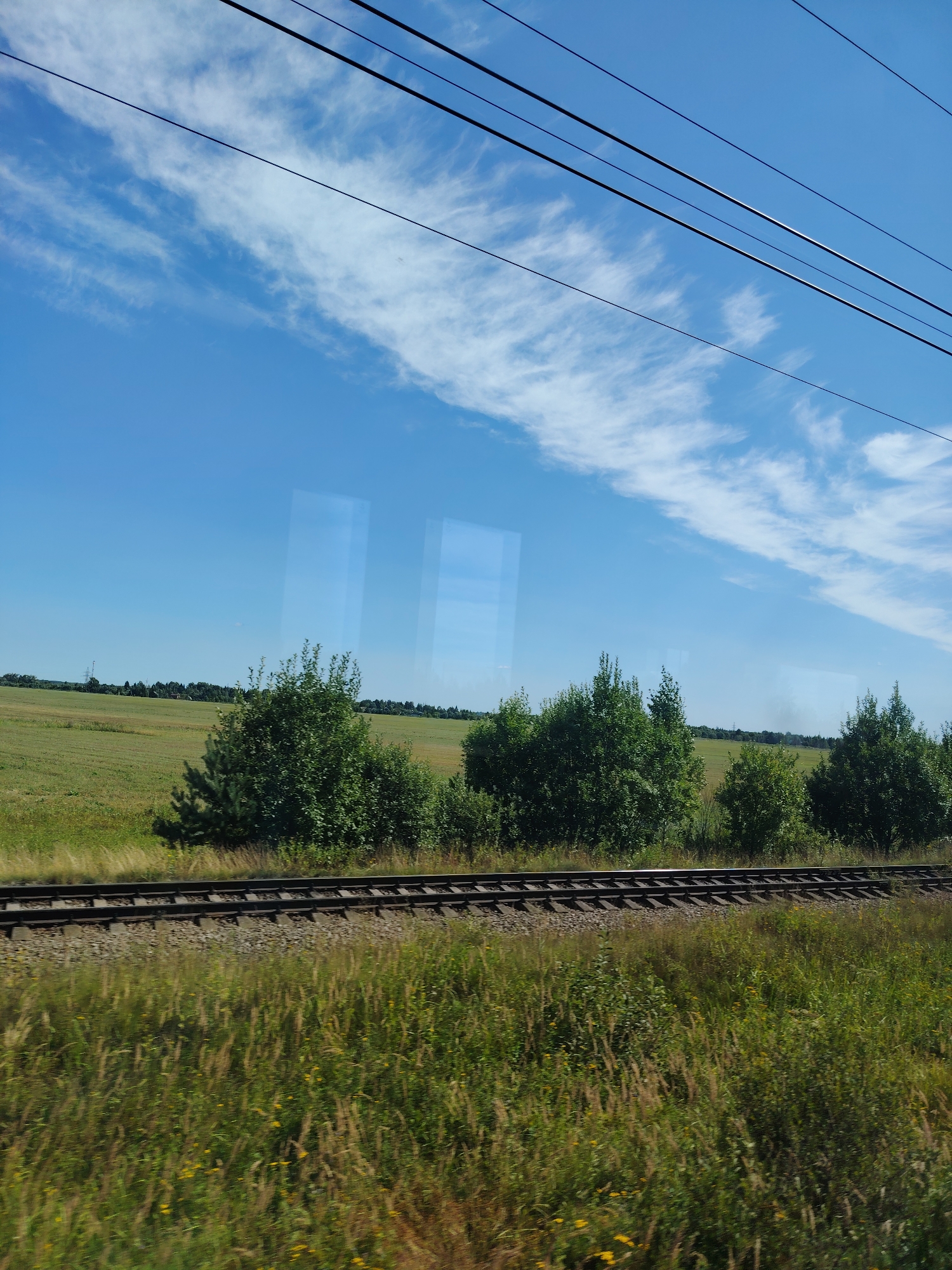 An eye-level, outdoor, full shot captures a bright, daytime scene of a rural landscape in Spas-Zaulok, Russia, as viewed from a moving train. The composition is divided into three horizontal bands. The uppermost band features a clear, bright blue sky streaked with wispy white clouds. Several dark, parallel power lines stretch diagonally across the sky from the upper left to the upper right. Below the sky, a middle band reveals a green field punctuated by a row of lush, green trees running horizontally across the frame. A set of train tracks, running parallel to the trees, occupies the lower portion of this band. The lowest band of the image displays a dense field of green and brown grasses and some scattered yellow wildflowers, with the train tracks continuing to run across it. The overall impression is one of a peaceful, pastoral journey through the Russian countryside.