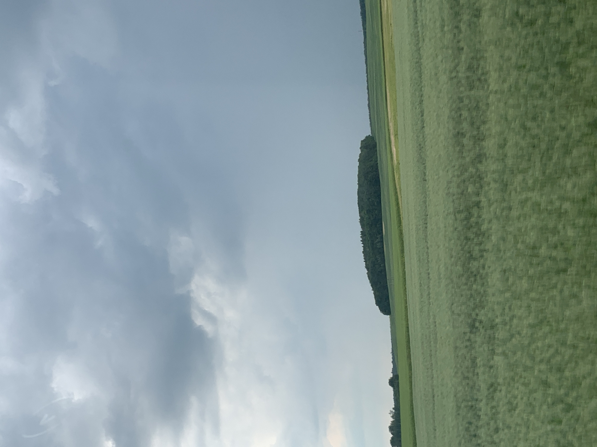 An overcast sky looms over a vast green field in Слабада-Кучынскі сельскі Савет, Belarus. The field appears to be planted with a crop, possibly wheat or barley, and shows signs of movement, suggesting it is either windy or the photo was taken from a moving vehicle. In the distance, a dense line of trees forms a dark green border against the lighter green of the fields, creating a stark contrast with the muted tones of the sky. The overall atmosphere is subdued, with the clouds casting a somber light on the landscape.
