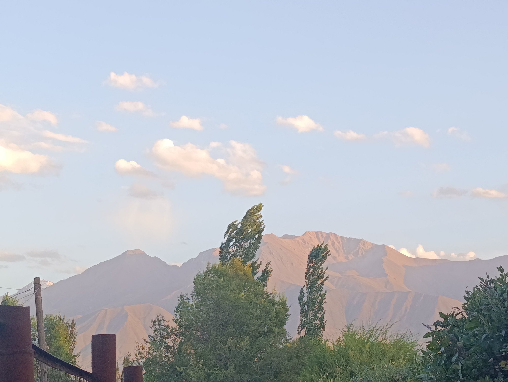 The image depicts a landscape scene in Kochkor, Kyrgyzstan, with a focus on mountains and vegetation. In the foreground, there is a fence made of rusty metal posts and wire, with some foliage visible to the right. Several trees, with lush green leaves, are scattered across the middle ground. Two tall, slender trees in the center are swaying, suggesting wind. Behind the trees, a range of imposing mountains dominates the background. The mountains exhibit layers of slopes and ridges, with some appearing to be covered in a light haze or dust. The sky above is a pale blue, dotted with scattered white clouds, some of which are tinged with a warm light, possibly from the setting or rising sun. The overall lighting suggests it's either early morning or late afternoon, casting a soft glow on the landscape. There are no people visible in the image.