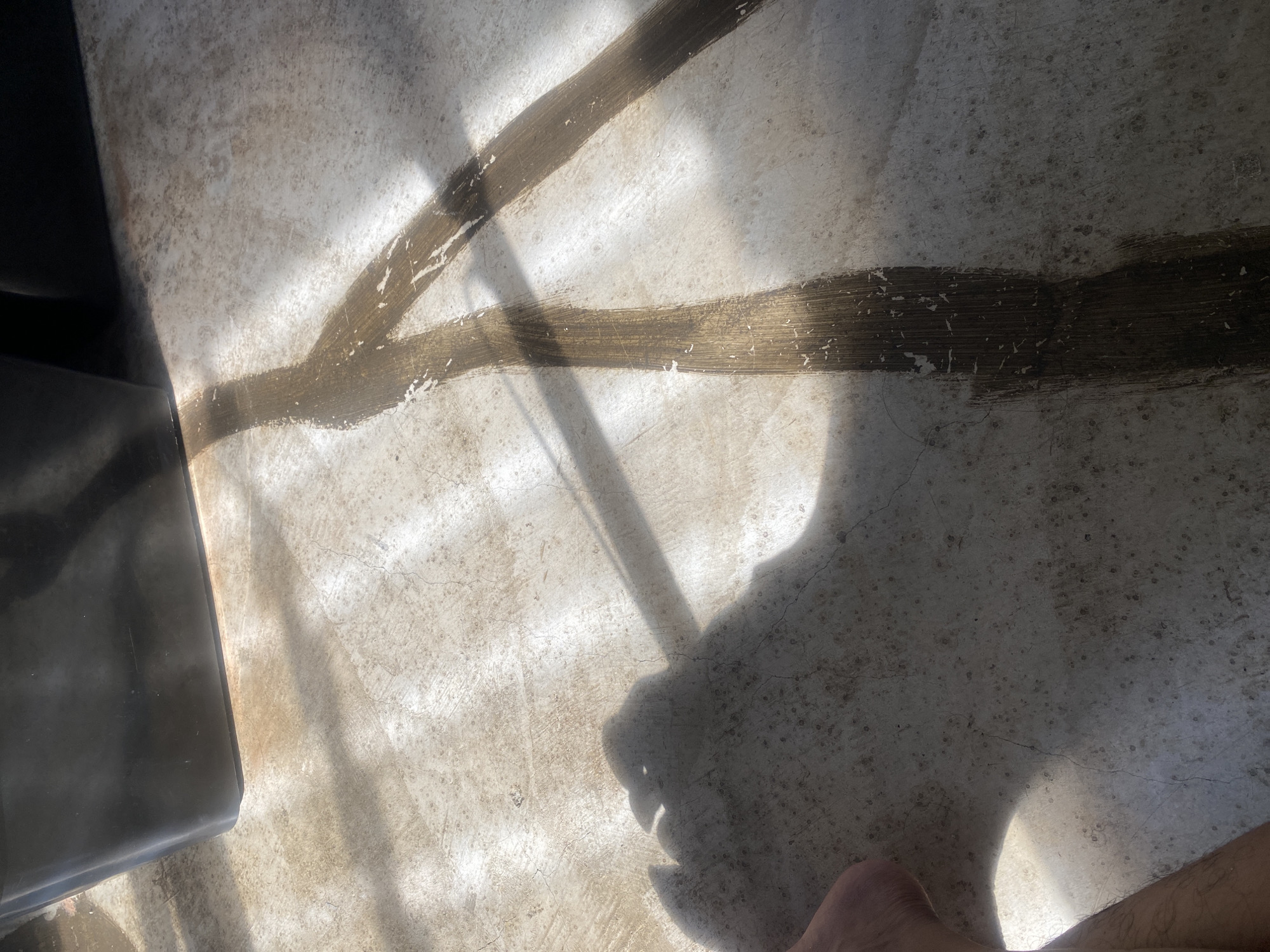 The image presents an overhead view of a light-colored, weathered concrete surface, likely a floor or patio, under bright sunlight. The surface exhibits a mottled texture with numerous small dark specks and fine cracks, suggesting age or outdoor exposure. Two prominent, irregular dark brown or black streaks, possibly worn paint or sealant, traverse the surface; one runs roughly horizontally across the center, and another diagonally from the top left.
Sharp, distinct shadows indicate strong illumination, likely from direct sunlight, with bright strips of light appearing where sunbeams hit the surface, possibly through window panes or a structure. In the bottom-left corner, a portion of a large, dark, rectangular object, possibly furniture or equipment, is visible.
On the right side of the frame, the clear shadow of a human hand with outstretched fingers is cast. Further towards the bottom-right, a person's bare foot and lower leg, showing some hair, are visible, partially illuminated and partially in shadow. The presence of the person is also indicated by other, less defined shadows on the surface.
The scene depicts a mundane, sunlit environment, captured during a bright time of day, likely morning or afternoon. No discernible text is visible within the image. This scene is located in Davao City, Philippines.
