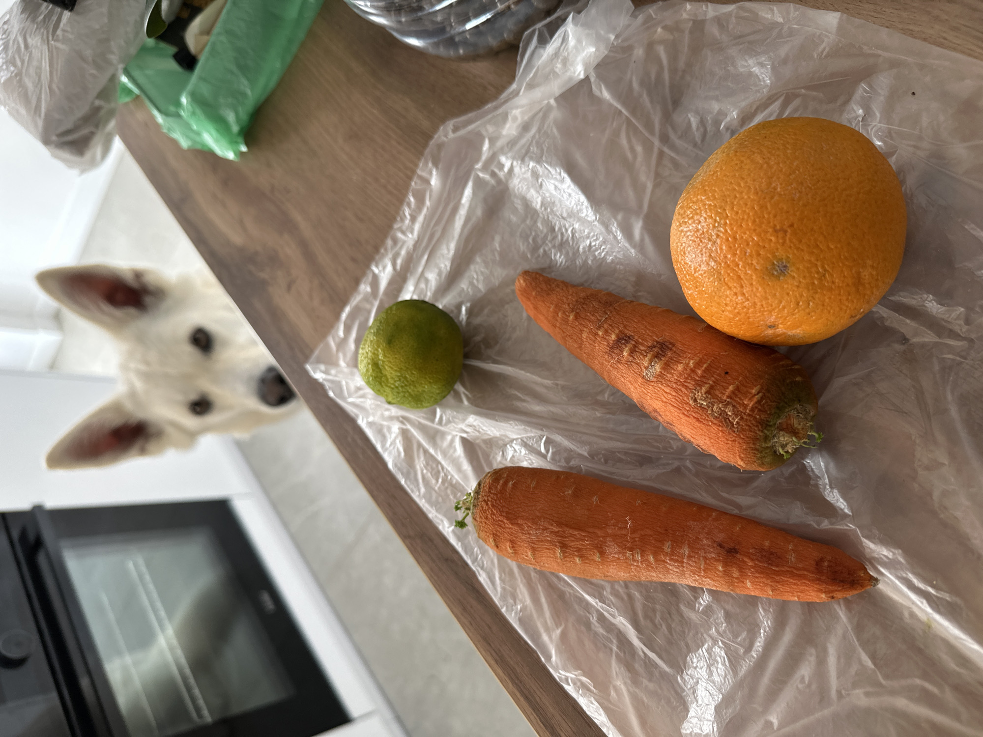 A white German Shepherd dog peeks over a wooden kitchen counter at two carrots, a lime, and an orange on a sheet of clear plastic. In the background, a black oven is visible. The dog appears to be looking at the camera with curiosity. The kitchen counter is a warm wood tone, and the background is a bright, modern kitchen. The dog is focused on the produce, suggesting it may be interested in being fed. The scene is set in a domestic environment, likely a home kitchen. The presence of the dog and the food items creates a relatable, everyday scenario.
