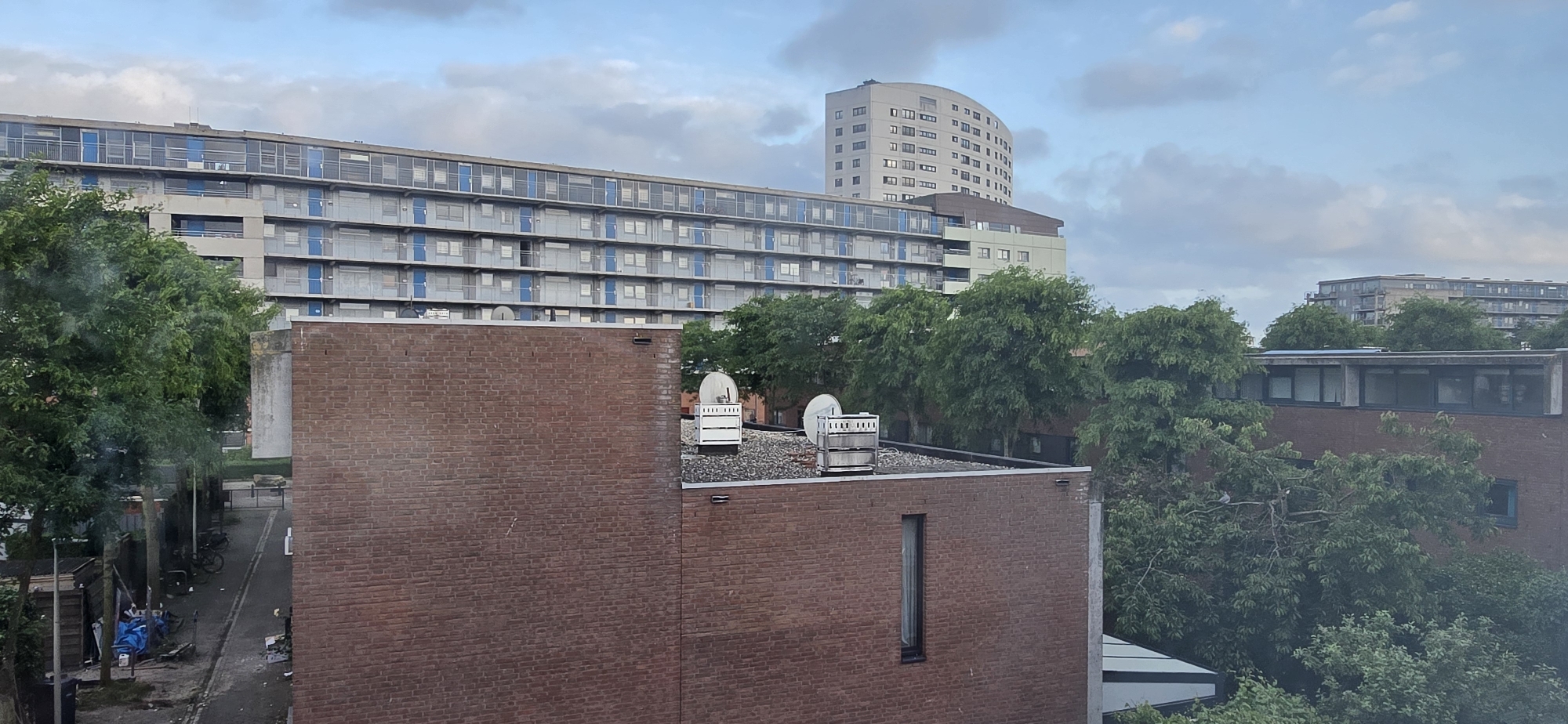 The image captures an urban landscape characterized by multiple residential buildings and lush green trees under an overcast sky. In the foreground, the flat, dark roof and a brick wall of a low-rise building are prominent. The roof hosts two white satellite dishes and several ventilation units. To the left of this building, a narrow, paved alleyway or path is visible, lined by trees and showing parked bicycles and some general clutter.
Dominating the mid-ground is a long, multi-story apartment building with a grey facade. It features numerous windows and balconies, many accented with distinctive blue doors or panels. The text "PALLADIUM" is visible on a section of this building's facade, above a balcony. Adjacent to it, a smaller building with a green-grey facade and a dark brown roof is partially seen. Further in the background, a tall, white multi-story building with a curved architectural design stands out against the sky. Another apartment-style building can be seen in the far background, partially hidden by trees.
Abundant green deciduous trees are scattered throughout the scene, providing natural elements amidst the urban structures. One small, grey bird is perched on a tree branch in the lower right. The sky is largely covered by light grey clouds, indicating an overcast day with soft, diffused lighting, suggesting either morning or late afternoon. The scene is static, depicting an architectural and natural panorama within a residential area.