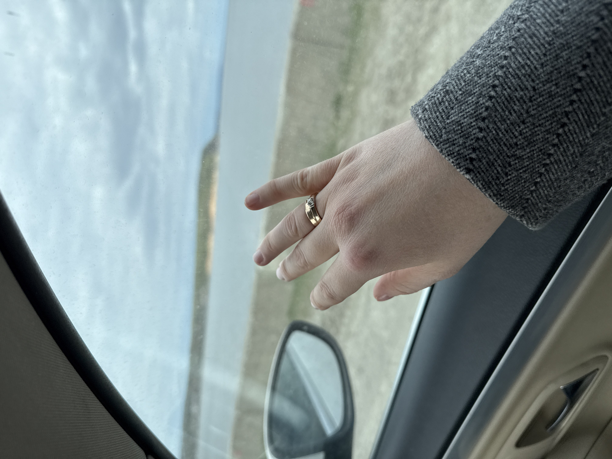 A photograph taken from inside a vehicle shows a right hand wearing a gold ring, with the fingers extended towards the car window. The sleeve of a gray tweed jacket is visible at the wrist. The window shows a blurry landscape of a pale, grassy area and a cloudy sky. The car's side mirror and interior trim are also visible. The location is unknown.