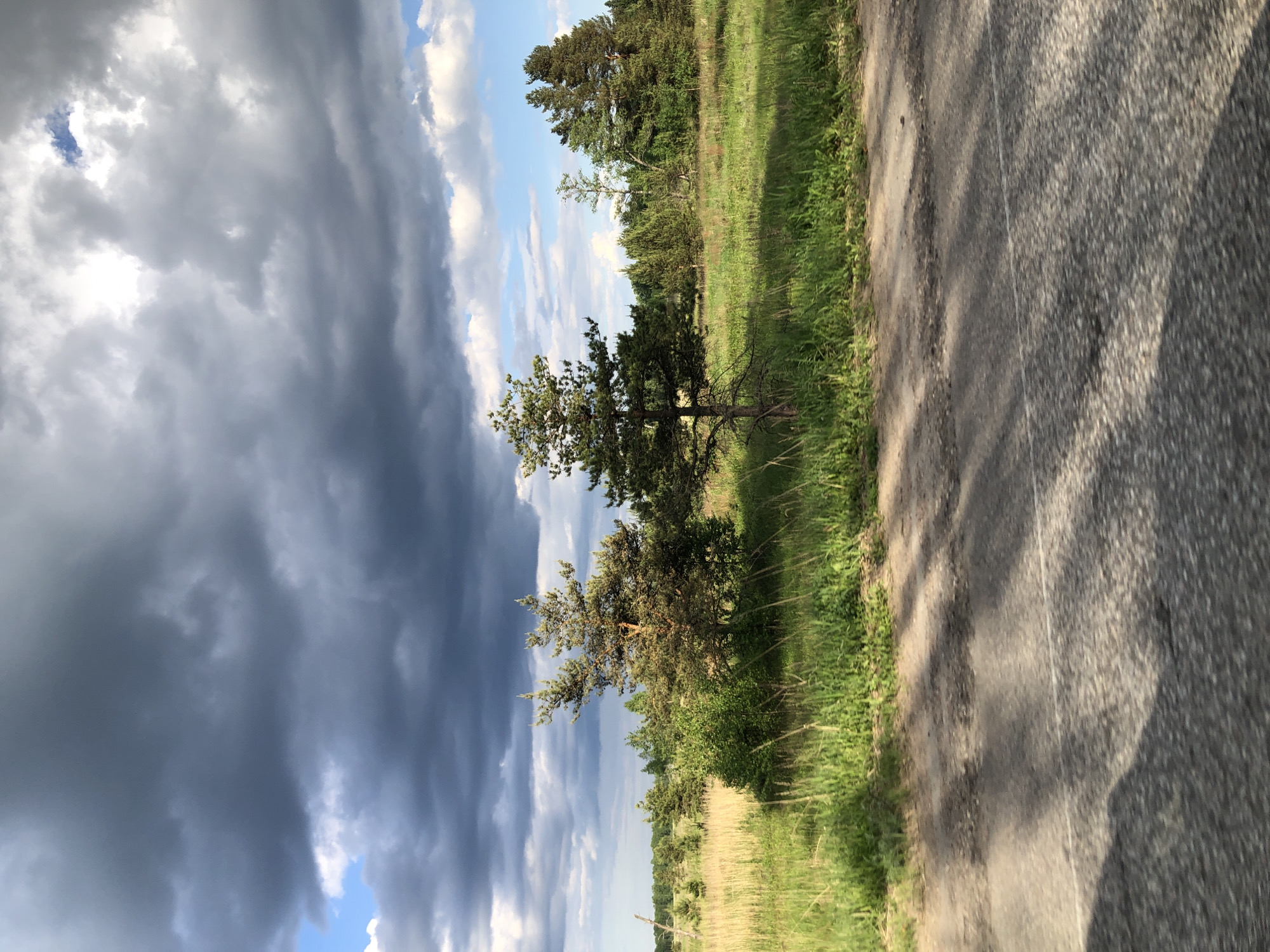 This media file presents a landscape scene, likely captured in Tugany, Russia. The image is oriented vertically, appearing to be rotated 90 degrees clockwise from a typical horizontal landscape view.
When viewed with the sky at the top, the upper portion of the scene is dominated by a dramatic sky. Large, heavy dark grey clouds fill the left side, indicating dynamic or possibly stormy weather conditions. Towards the right, patches of brighter white clouds and clear blue sky are visible, suggesting the sun may be breaking through or setting/rising.
A line of scattered trees, likely conifers or pines, stands along the horizon, separating the sky from the fields below. These trees are set amidst green and dry grassy fields, which extend towards the foreground on the right.
An unpaved road or dirt path runs along the bottom of the image (when correctly oriented), bordered by green grass. Shadows are cast across the road and grass, indicating a low sun angle, suggesting either early morning or late afternoon.
No people or specific activities are depicted, focusing instead on the natural scenery and atmospheric conditions. There is no visible text present in the image. The overall impression is one of a serene yet dynamic rural setting, characterized by the contrasting light and dark clouds and the rugged landscape.