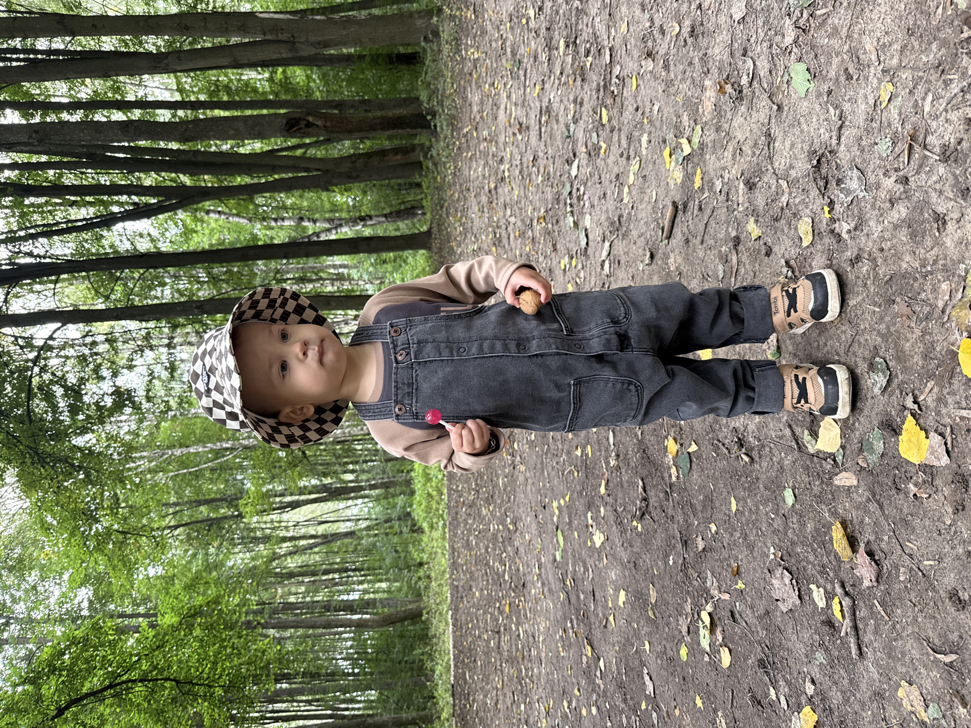 A toddler, wearing a checkered hat and denim overalls, stands in a forest clearing. The child holds a pink lollipop in their right hand and a small, brown nut in their left. The ground is covered with fallen leaves and twigs, indicating an autumn setting. Behind the child, tall trees with green foliage form a dense forest. The image is taken at eye level with the child. No specific location in the city of Dumino, Russia, can be identified from the visual information.