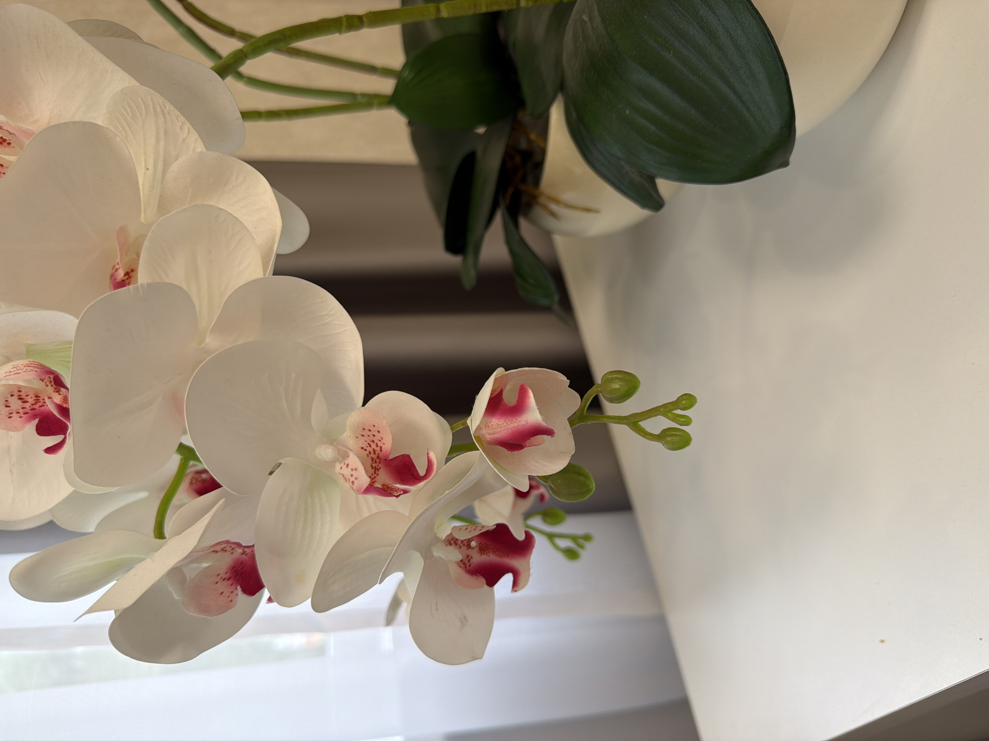 An overhead shot focuses on a white orchid with pink accents, its blooms cascading down from the top right of the frame. The orchid is positioned on a white surface, likely a table or shelf, with its green stems and leaves visible in the background. A cream-colored planter holds the orchid. Behind the plant, a sheer white curtain is visible on the left, and a textured brown curtain is seen on the right, suggesting an indoor setting. The lighting appears soft, casting gentle shadows. The scene is static and does not depict any people or specific actions.