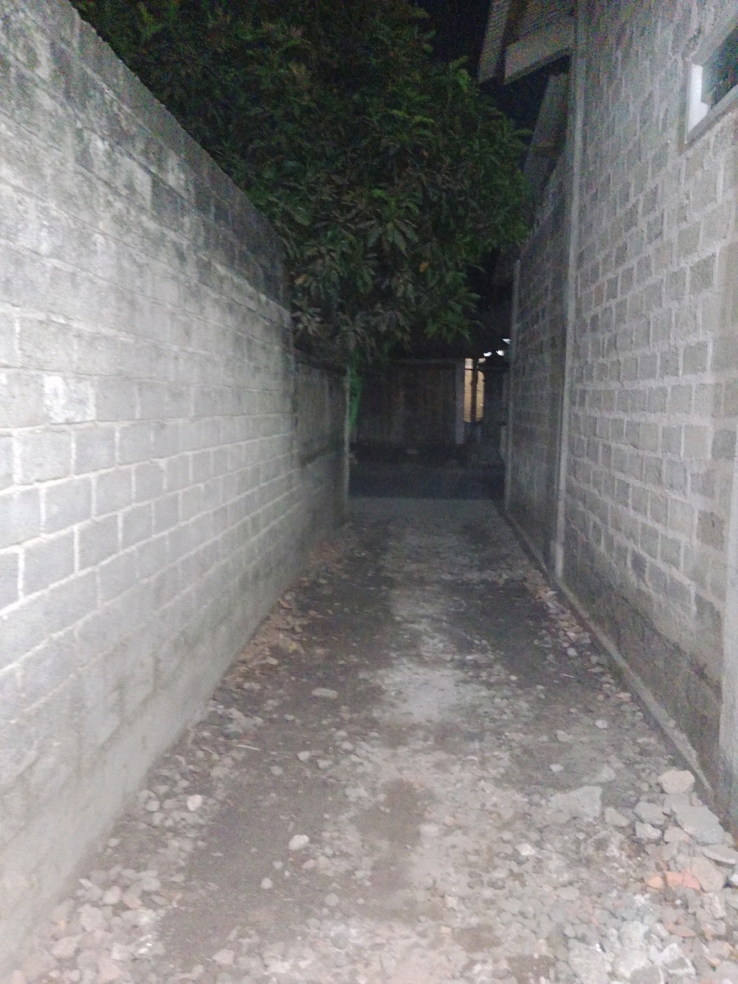 The image depicts a narrow alleyway between two cinder block buildings, likely in Ringinrejo, Indonesia. The alley floor is rough and covered with gravel and debris, suggesting it is an unpaved or poorly maintained area. On the left, a tall cinder block wall extends into the distance, appearing weathered and stained. On the right, another cinder block wall is visible, with a window opening near the top.
A lush green tree with dense foliage occupies the space between the buildings further down the alley, its branches extending towards the structures. Beyond the tree, a dimly lit doorway or opening is visible, with a faint yellow light emanating from within. The overall scene is dark, suggesting it was taken at night or in a poorly lit area. There are no people or animals visible in the image. The perspective of the shot is low, as if taken from ground level.