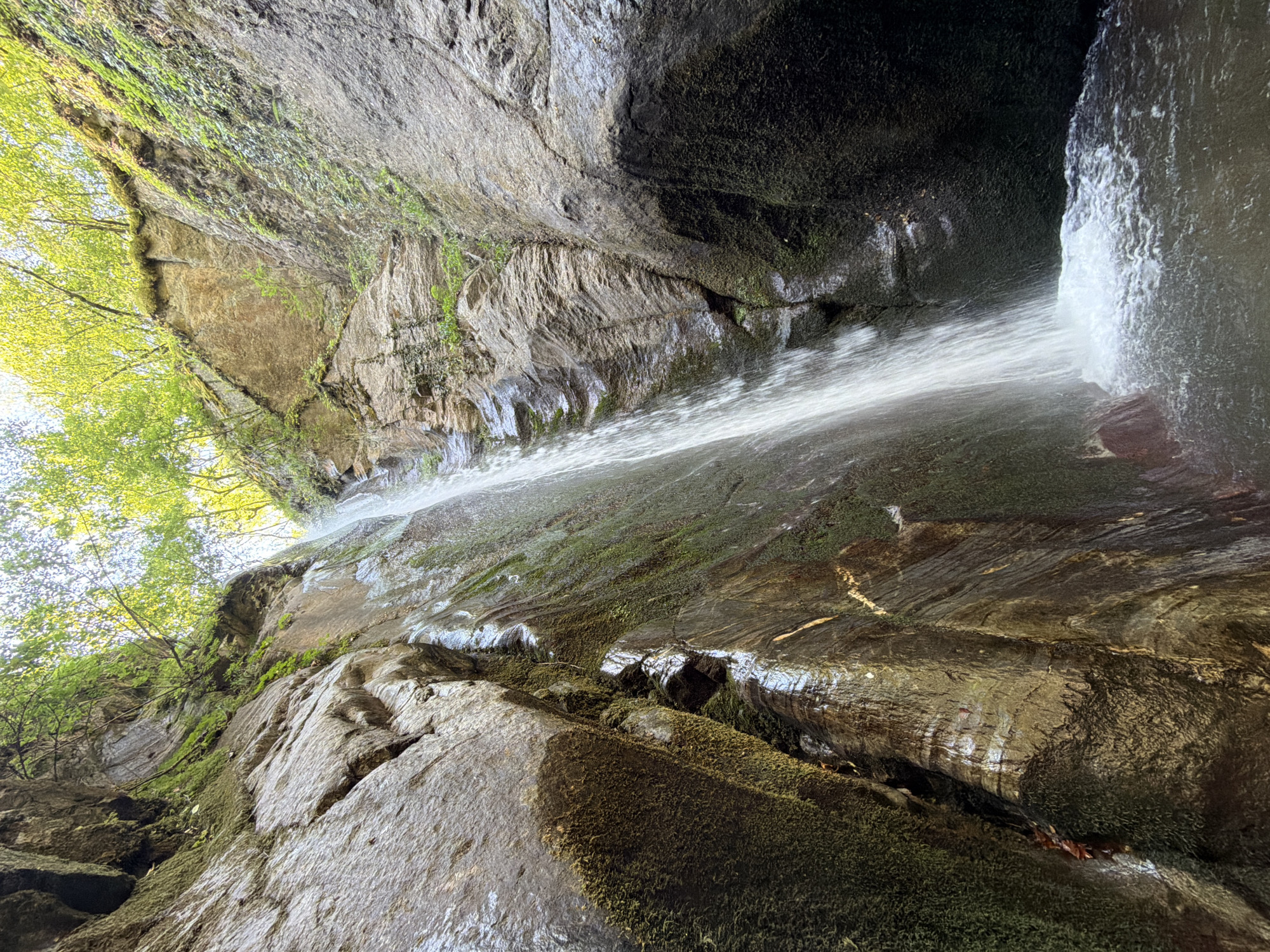 A low-angle shot looks up at a waterfall cascading down a moss-covered, rocky cliff face in the city of Samuilovo, Bulgaria. The waterfall is the central element, a white torrent of water against the dark, textured rock. The cliff walls are steep and uneven, with visible striations and patches of vibrant green moss clinging to their surfaces. Above the waterfall, lush green foliage from trees peeks over the edge of the cliff, with sunlight filtering through the leaves, creating a dappled effect. The water collects in a pool at the base of the falls, creating white foam and ripples. The overall impression is of a natural, secluded environment, possibly a hidden gorge or ravine. There are no people or animals visible in the image.