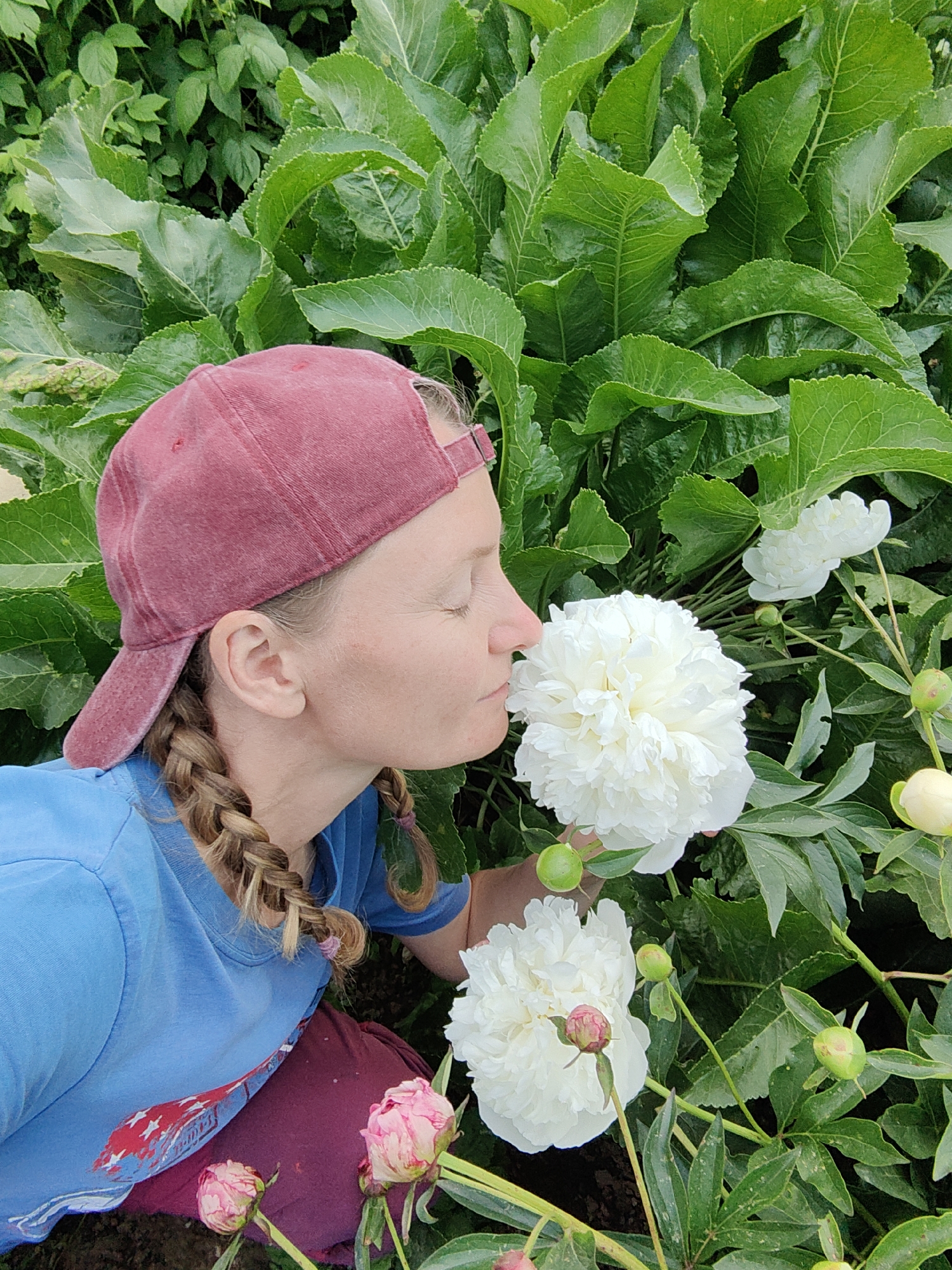 A Caucasian woman with light brown braided hair, wearing a distressed red baseball cap, a light blue t-shirt with a partially visible graphic, and maroon pants, is positioned in profile, leaning forward with her eyes closed as she smells a large, fully bloomed white peony. Another fully opened white peony is partially visible to the right, along with several green peony buds and two pink peony buds in the lower left foreground. The background is filled with dense, vibrant green foliage, indicating a lush garden or field setting. The scene is located in Ароматновское сельское поселение, Ukraine.