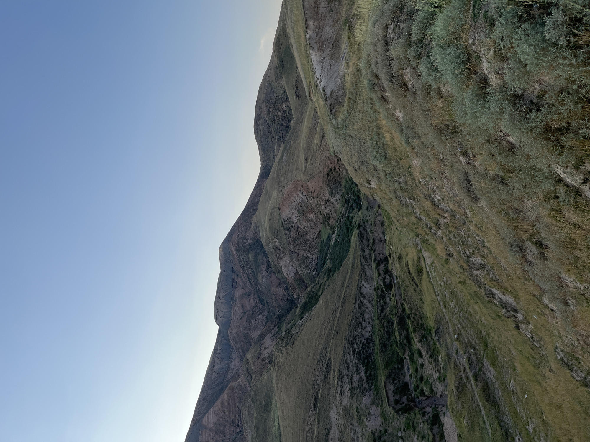 The image shows a panoramic view of a rugged, hilly landscape under a clear, light blue sky. The terrain is characterized by rolling hills covered in dry, golden-green grasses and patches of low-lying green shrubs. The slopes are steep in places, with visible erosion and exposed soil in shades of brown and grey, revealing stratified layers of earth. A narrow, dark gully winds through the middle ground of the image, suggesting a dry stream bed or a small ravine. The distant mountains are layered and appear to be made of rock with sparse vegetation. The overall impression is of a natural, arid environment. The scene is devoid of any human presence or man-made structures, focusing solely on the geological formations and vegetation of the area. This landscape is consistent with areas in and around Mailuu-Suu City, Kyrgyzstan, known for its mountainous terrain and arid climate.