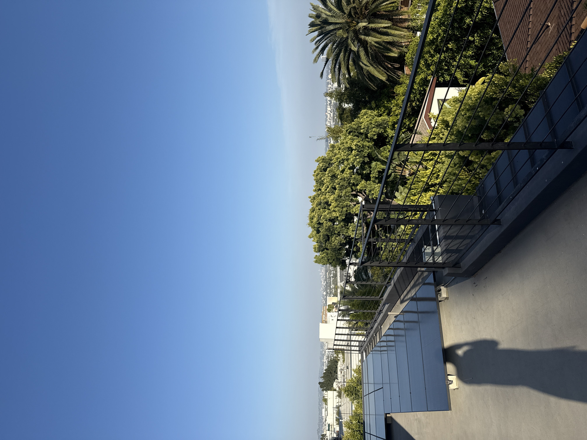 View from a high vantage point, potentially a rooftop or balcony, looking toward the city of West Hollywood, California, United States of America. A black metal railing lines the edge of the gray floor, separating the viewing area from the cityscape. Lush green trees and vegetation fill the midground, with a tall palm tree visible among them. Buildings and other structures from the city are visible in the background, extending toward the horizon. The sky is clear and bright blue. A shadow of a person taking the photo is visible on the lower right corner of the image.