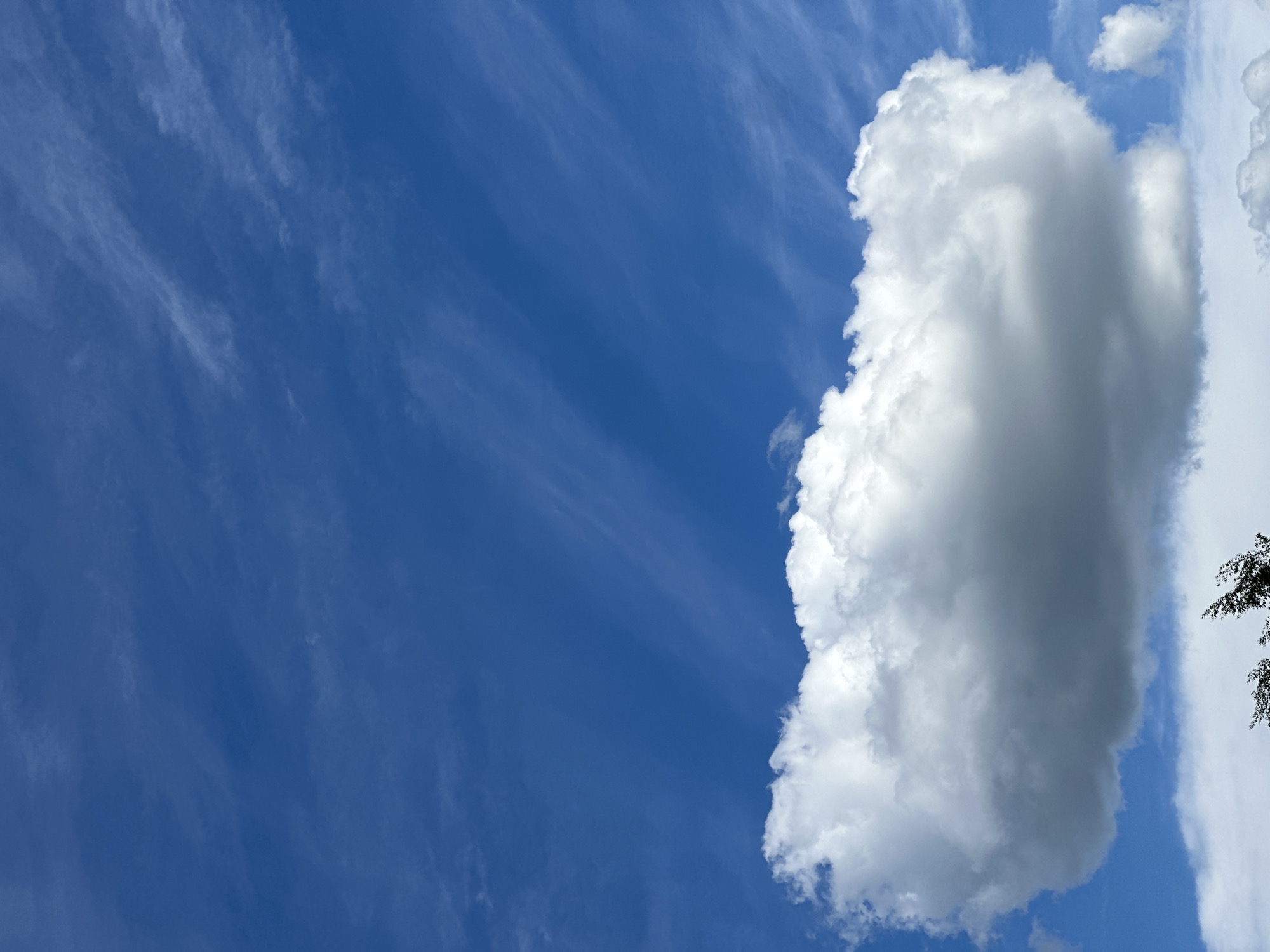 The image shows a clear blue sky with wispy cirrus clouds on the left and a large cumulus cloud on the right. The bottom right corner of the cumulus cloud obscures a dark object with tree branches. The location is Unknown, Unknown.
