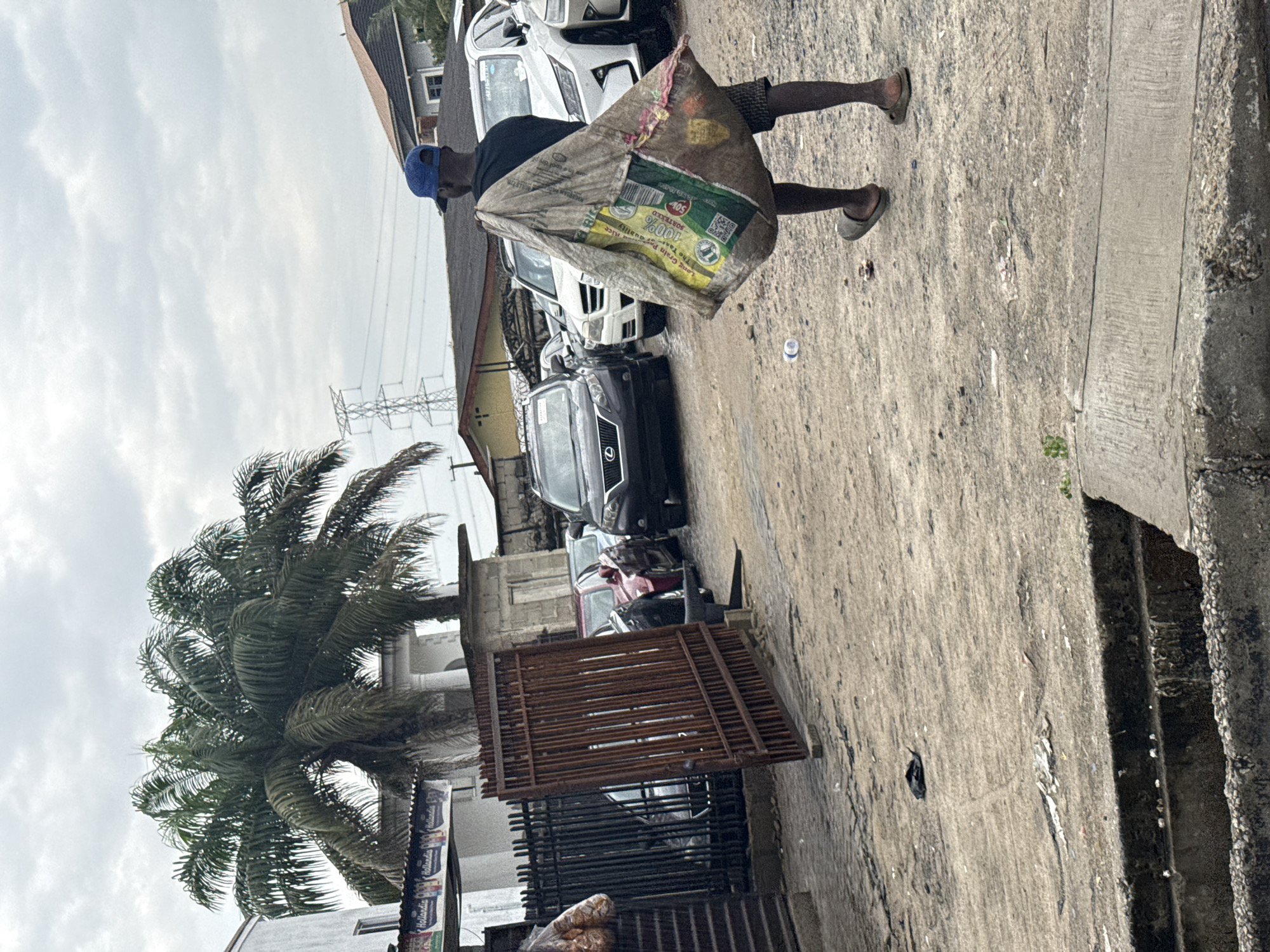 An outdoor, slightly elevated shot captures a man walking left-to-right across a paved street in Ado, Nigeria, under an overcast sky. The man, wearing a blue cap, dark t-shirt, dark shorts, and simple sandals, carries a large, woven plastic sack over his left shoulder.
The sack is light-colored with green and yellow branding. Visible text on the sack includes "50KG", "100% SOKOTO", "LONG GRAIN PARBOILED RICE", and "THE TASTE OF QUALITY", along with a QR code and a logo resembling a bird.
To the left of the man, several cars (SUVs and sedans) are parked along what appears to be a curb or the edge of a lot. Further back on the left, a tall palm tree dominates the mid-ground, with buildings and an electricity pylon visible in the background. A rusty, horizontally slatted metal gate stands near the parked cars. The ground is a light-colored concrete or asphalt, showing some debris and a discarded plastic bottle. A concrete curb or drainage channel runs along the right side of the frame. The overall impression is an everyday street scene in an urban or semi-urban setting. A small blue sign with "Hollandia" is partially visible near the base of the palm tree.