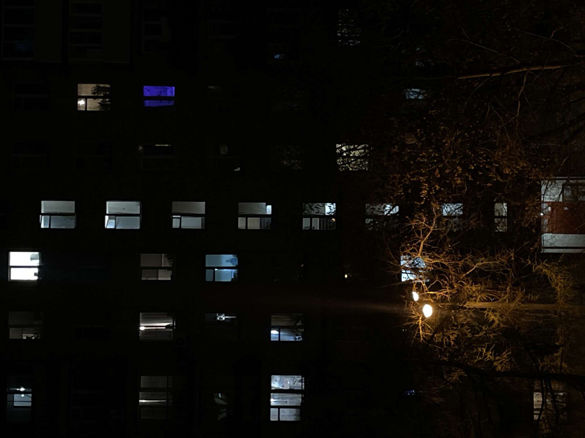 The image shows a building with several illuminated windows at night, partially obscured by a tree with lights. The scene takes place in a city at nighttime. The building is dark overall, with a grid-like pattern of windows. Some windows are brightly lit, while others are dark or have a faint glow. The tree is in the foreground, its branches partially obscuring the building. Several lights are attached to the tree, adding to the overall luminosity of the scene.