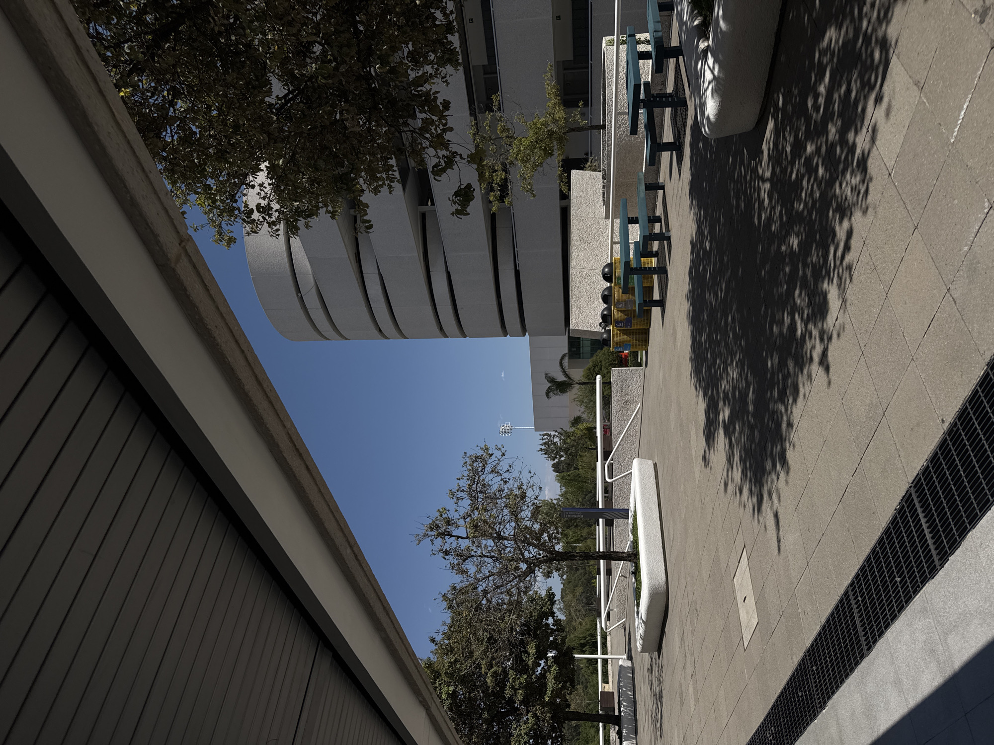 The image depicts an outdoor scene in what appears to be a modern campus or urban park setting in Heroica Puebla de Zaragoza, Mexico. The perspective is looking upwards and across a paved walkway, showcasing architectural elements, natural vegetation, and outdoor furniture under bright sunlight.
On the left side, a prominent building with a distinctive, multi-layered curved facade of light-colored material dominates the view, its upper sections partially obscured by tree foliage. To the bottom left, the roofline and upper wall of another building are visible, featuring dark, horizontally paneled siding.
A wide, light-colored paved walkway extends from the foreground towards the background on the right. This walkway is made of square pavers. Along its right edge, a long, dark metal grate or drain is embedded in the pavement. Several sets of blue picnic tables with benches are arranged along the right side of the walkway, alongside white concrete benches or planters. A yellow trash or recycling bin is visible near the tables. White railings, possibly indicating stairs or a ramp, are also present.
Numerous trees are scattered throughout the scene. A large tree with dense green foliage casts intricate, long shadows across a significant portion of the walkway, indicating strong sunlight. Other trees with varying densities of leaves are seen in the mid-ground and background.
The sky is a clear, brilliant blue with no clouds, suggesting a sunny day. The strong sunlight creates distinct shadows, particularly from the trees, suggesting it is daytime, likely mid-morning or afternoon.
In the mid-ground, a blue sign with white text is visible, reading "EDIFICIO 1 (Auditorio)", which translates to "Building 1 (Auditorium)", providing a location cue within a larger complex. In the far distance, beyond the trees, a tall structure with lights, possibly part of a stadium or large facility, can be seen against the sky. No people or specific activities are present, giving the scene a calm and unoccupied appearance.