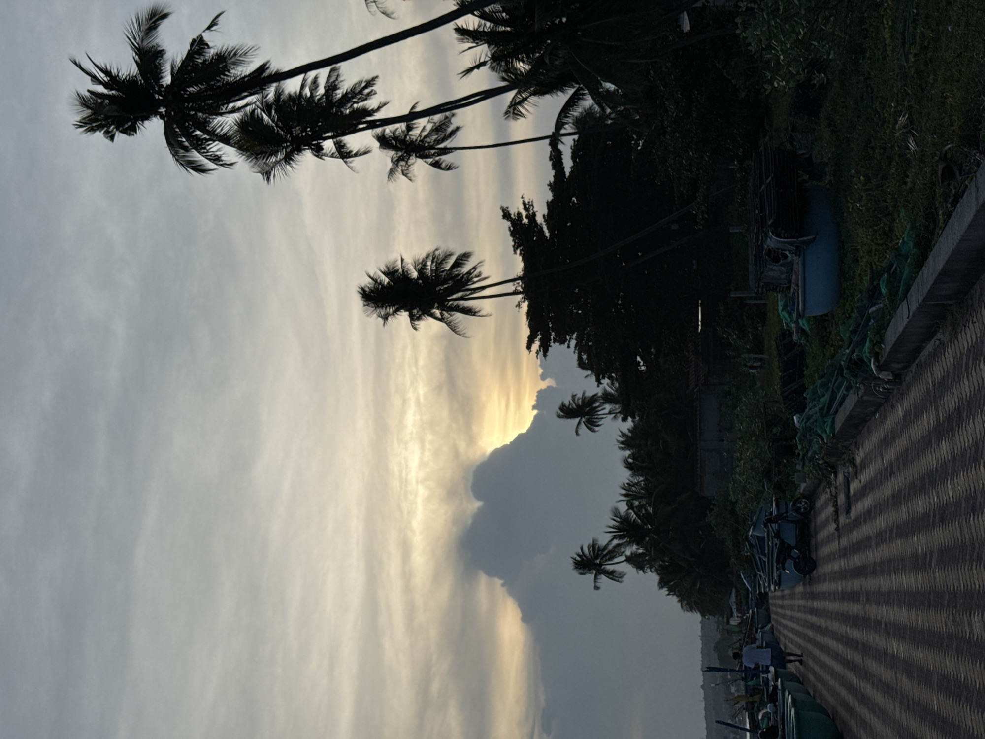 This image depicts a seaside scene in Mui Ne, Vietnam, likely during twilight. A man walks along a paved walkway, which is lined with green fishing boats and fishing nets. The walkway itself is patterned with alternating dark and light colored bricks laid in a chevron pattern. To the right of the walkway, lush green vegetation grows, interspersed with more fishing boats and nets. In the background, a dense line of silhouetted palm trees and other foliage stretches across the horizon. Above the trees, the sky is filled with dramatic clouds, with a sliver of pale yellow light breaking through a large, dark cloud formation on the left, suggesting the sun is setting or has recently set. The overall atmosphere is serene and coastal.