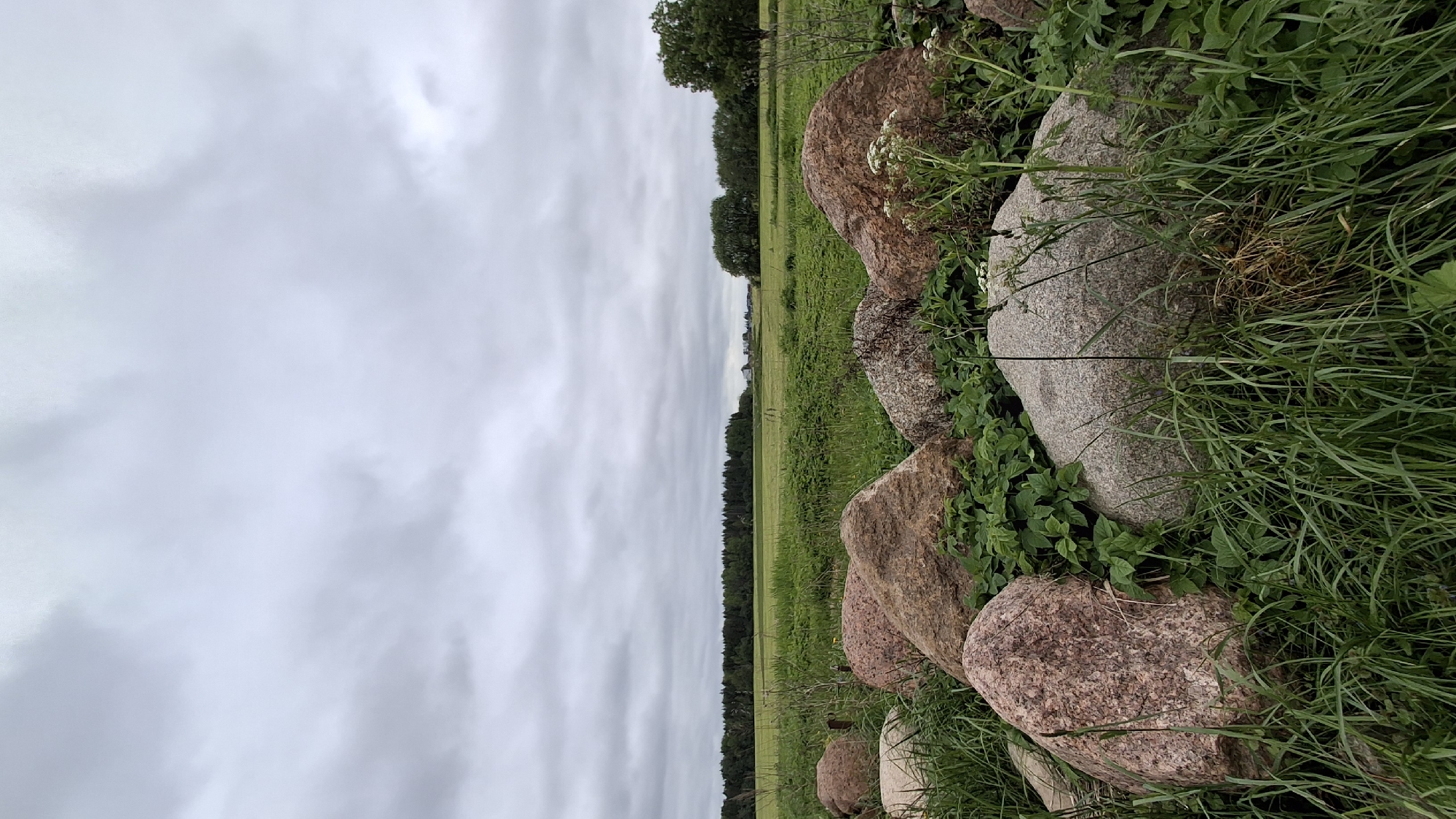 The image presents a view of a field and sky, bordered by a line of rocks and overgrown vegetation. The sky is overcast, with a flat, gray cloud cover. The field extends into the distance, transitioning into a treeline on the horizon.
In the foreground, large, rounded rocks form a line, partially obscured by long grass and various green plants. The rocks display a range of colors from reddish-brown to gray, with textures suggesting natural weathering.
The location in the city of Muta-Kiulya, Russia cannot be verified from the image content.