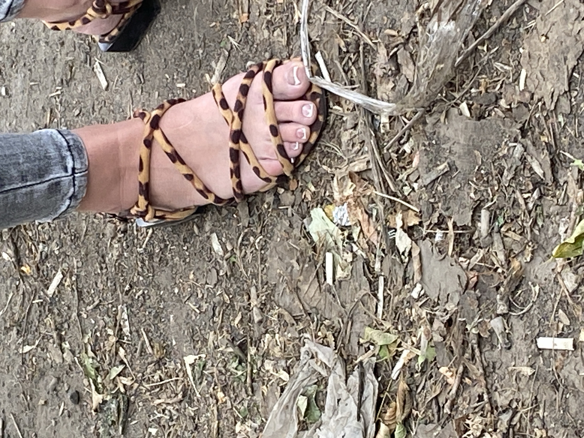 A close-up shot focuses on a person's left foot, adorned with a leopard-print sandal featuring thin straps that wrap around the ankle and across the toes. The foot exhibits a light skin tone with clean, white-tipped toenails. The sandal has a dark sole and a wedge heel. The foot is positioned on the ground, which is covered in a mix of dry leaves, twigs, and dirt. In the background, a person's lower leg, clad in grey denim jeans, is visible. The ground also shows signs of debris, including a crumpled piece of white plastic and a discarded cigarette.