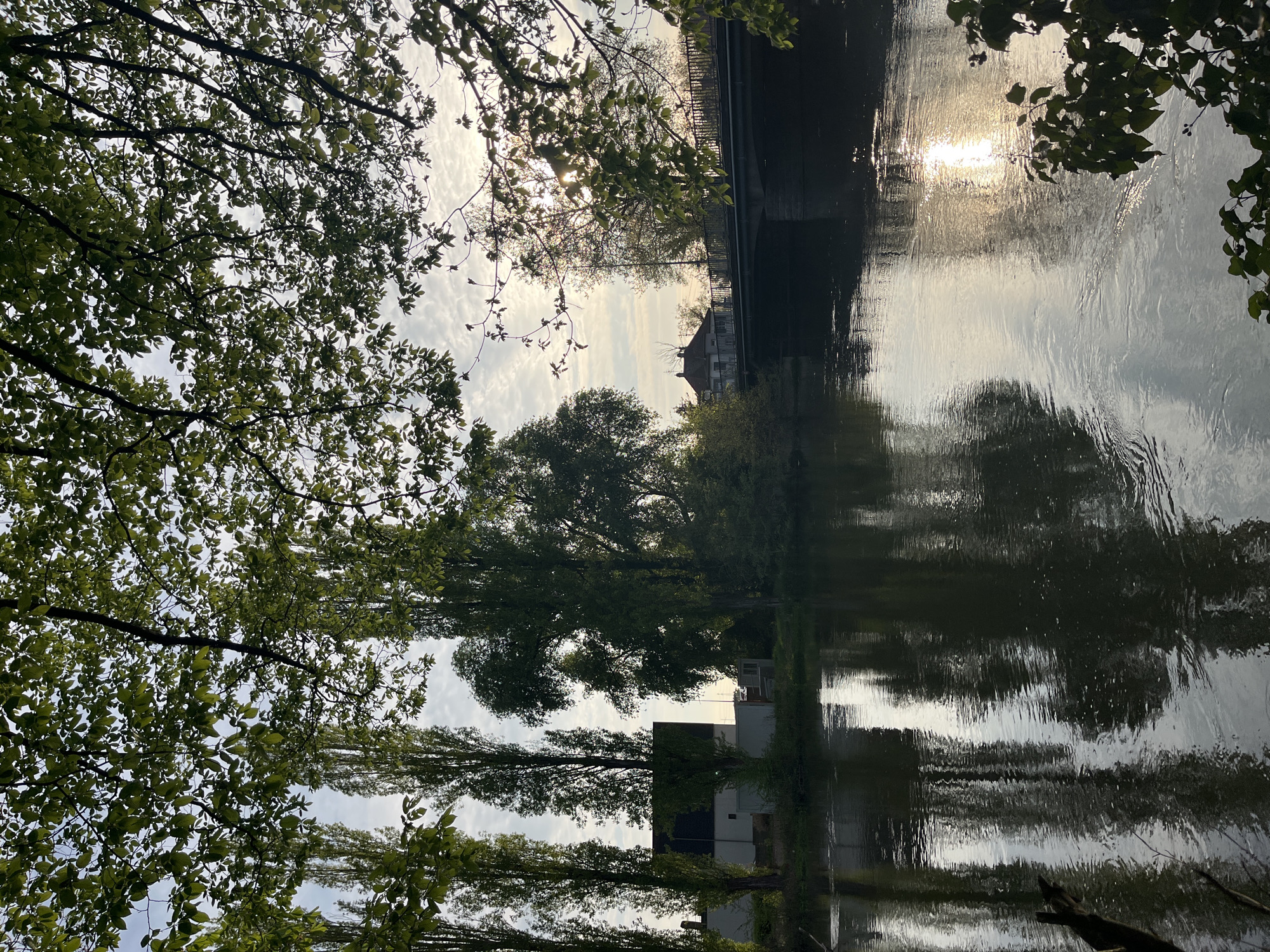 The image depicts a river in Geispolsheim-Gare, France. Reflections of trees and buildings are visible on the water's surface. A bridge spans the river, with foliage obscuring parts of the scene. The sun shines through the branches. The photograph is oriented upside down.