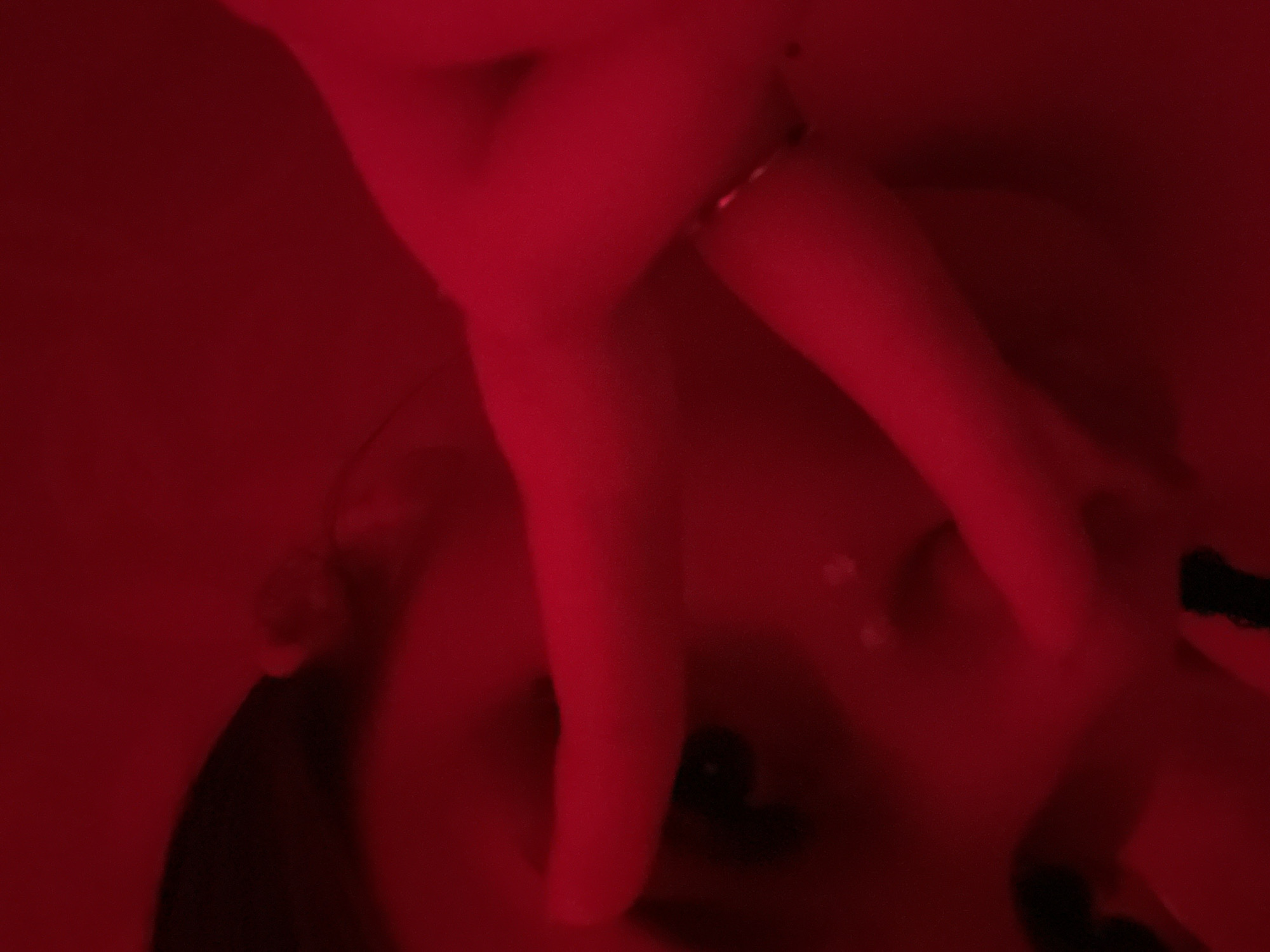 The image is deeply saturated with a red artificial light, creating a dramatic and somewhat obscured view of a person. In the lower left portion, the profile of a face is partially visible, with an eye and the outline of a nose discernible through the red tones and shadows. Two limbs, likely legs, are prominently positioned across the central and upper right sections, appearing to be crossed over the person's body or face. A thin, metallic anklet is visible on one of these limbs. Darker, indistinct areas in the composition may indicate clothing, accessories such as dark nail polish, or shadow.
The scene suggests an intimate, indoor setting, possibly a private room or studio, illuminated solely by the strong red light. The person appears to be resting or posing. The dominant red lighting creates a specific mood, often associated with warmth, passion, or a stylized artistic presentation. Details regarding the exact time of day or weather are not discernible. There is no visible text in the image.