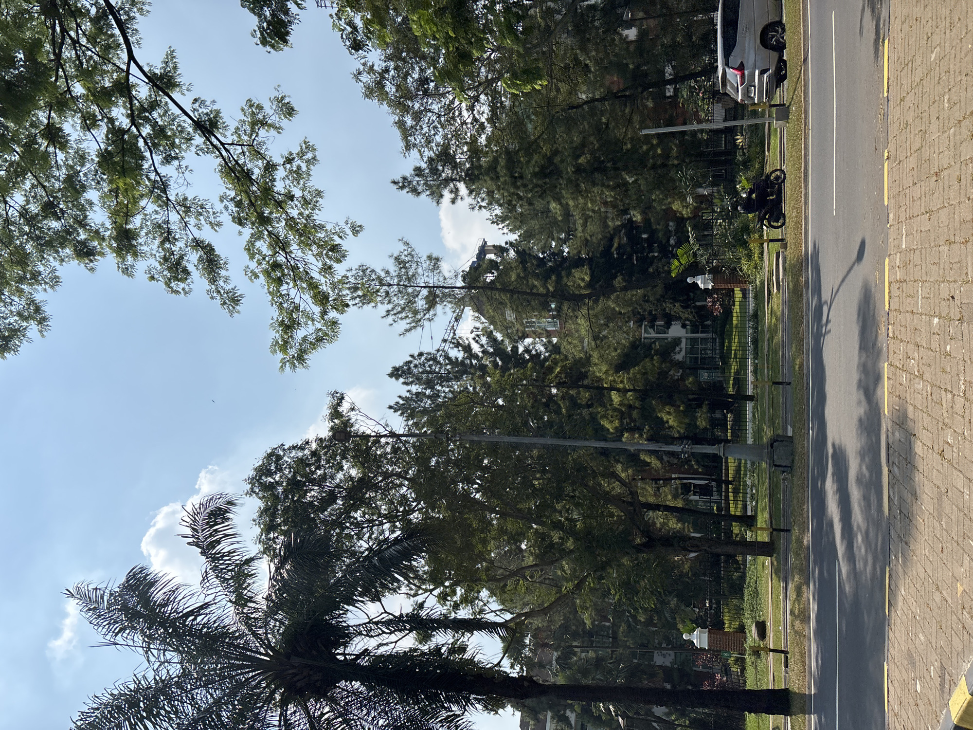 A bright, sunny day with a clear blue sky and scattered white clouds is depicted in this scene from Bencongan Indah, Indonesia. The foreground features a paved road with yellow markings, bordered by a brick sidewalk. Beyond the road, a grassy area is separated from a walkway by a black metal fence.
To the left, a tall palm tree stands prominently, its dark fronds silhouetted against the sky. Behind the fence, a line of trees, including tall pines and other leafy varieties, creates a dense green backdrop. In the distance, part of a building with white columns is visible amongst the foliage.
A motorcyclist, wearing a dark helmet and clothing, is seen riding a motorcycle on the right side of the road. Further to the right, a silver SUV is parked. The overall environment suggests a well-maintained urban park or residential area with significant tree cover. The lighting indicates it is likely mid-morning or early afternoon.