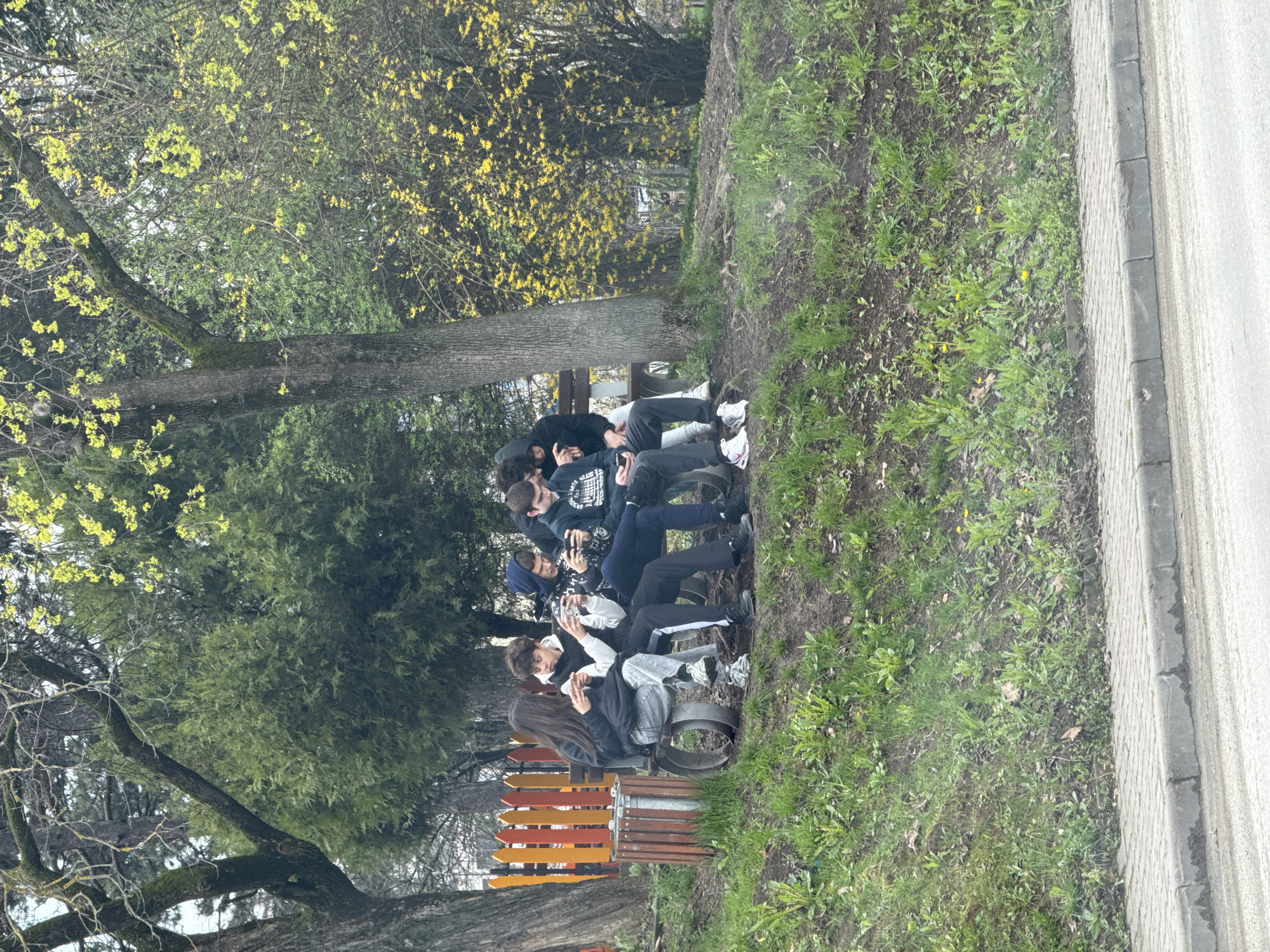 A medium shot shows a group of approximately six young people sitting closely together on a park bench in Veliko Tarnovo, Bulgaria. The youths are of varying heights and builds, and they appear to be engaged with their mobile phones. The bench is located in a park or green space alongside a tree and next to a pavement. The background shows other trees and greenery, with a few bare branches visible. The park appears to be near a residential area, as seen by the roadway in the corner of the image.