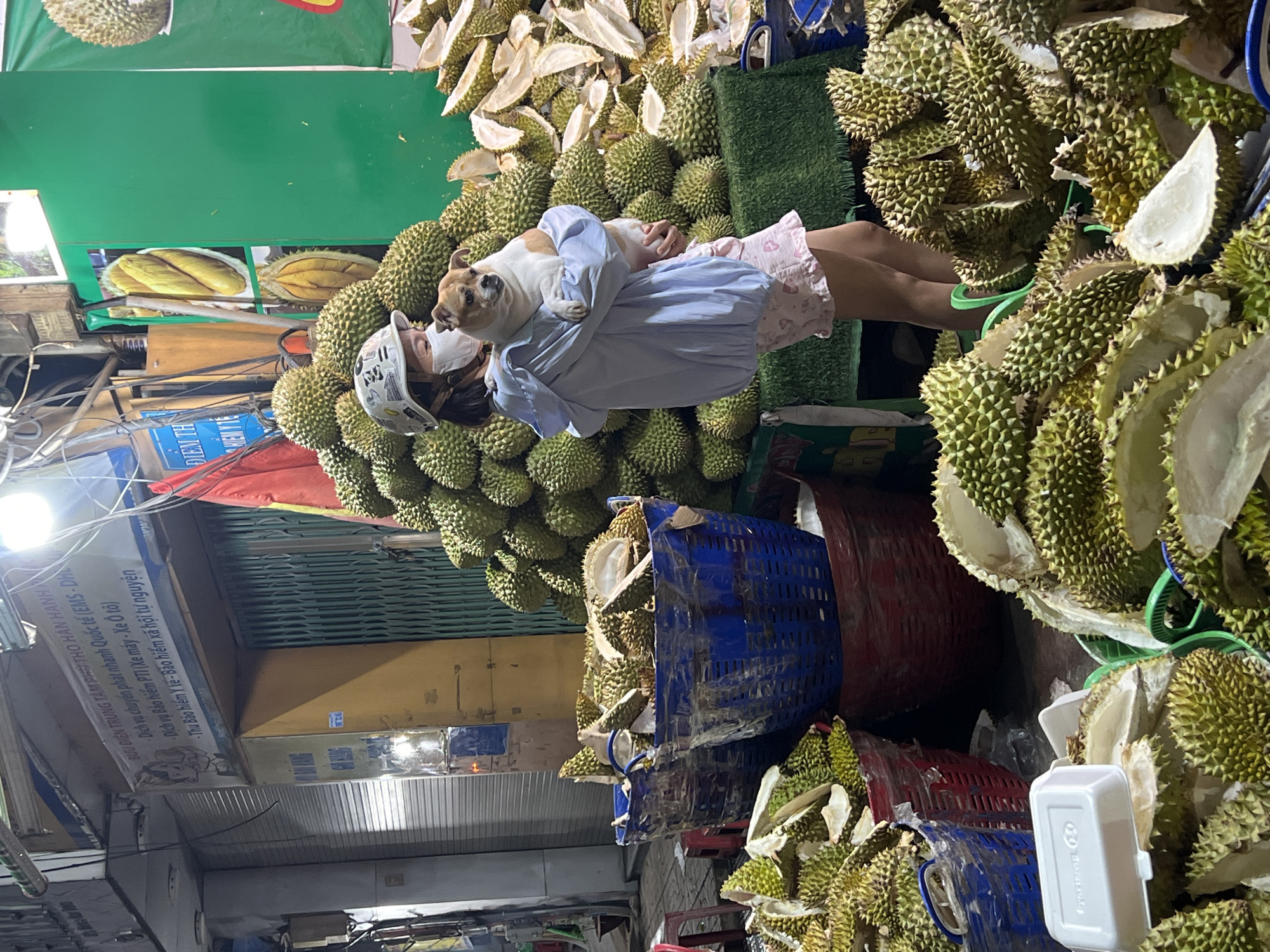 A person wearing a white helmet and a white mask is standing in a cluttered outdoor market in Thủ Đức, Vietnam. The person is holding a tan and white dog in their arms. They are surrounded by piles of durian fruit, both whole and cut open, as well as baskets filled with durian rinds. Overheard are signs in Vietnamese, including one advertising postal and insurance services. The lighting suggests it is nighttime or dusk.