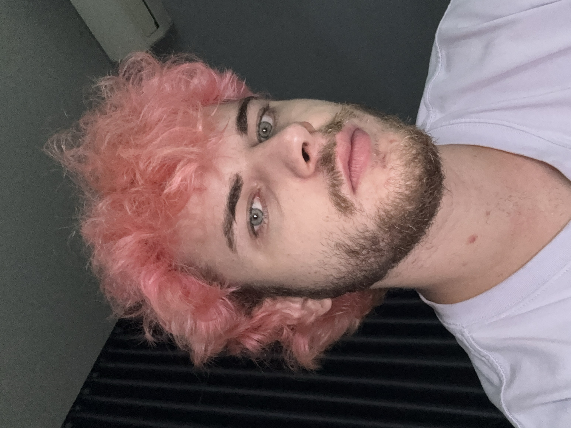 A photograph shows a man with pink curly hair, light skin, a brown beard, and light eyes. He is wearing a white t-shirt. The background appears to be a dark gray wall, and the lower portion of the image shows horizontal black lines, possibly a radiator or another similar structure. The man is facing the camera with his head tilted slightly. The location is not discernible from the photograph.