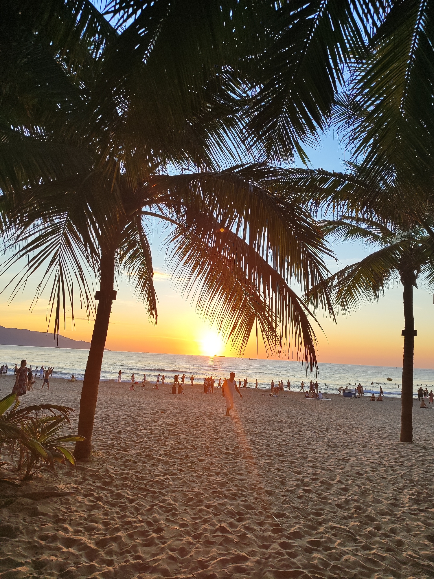 This is a photograph of a beach at sunset in Da Nang, Vietnam. The sun is low on the horizon, casting a warm glow over the scene and creating a silhouette of palm trees in the foreground. The beach is populated with many people walking, standing, and sitting. Some are interacting with each other, while others are simply enjoying the sunset. The ocean is calm with small waves, and a few boats are visible in the distance. The sand is a light brown, with ripples and footprints indicating recent activity. The overall impression is one of a peaceful and vibrant evening at the beach.