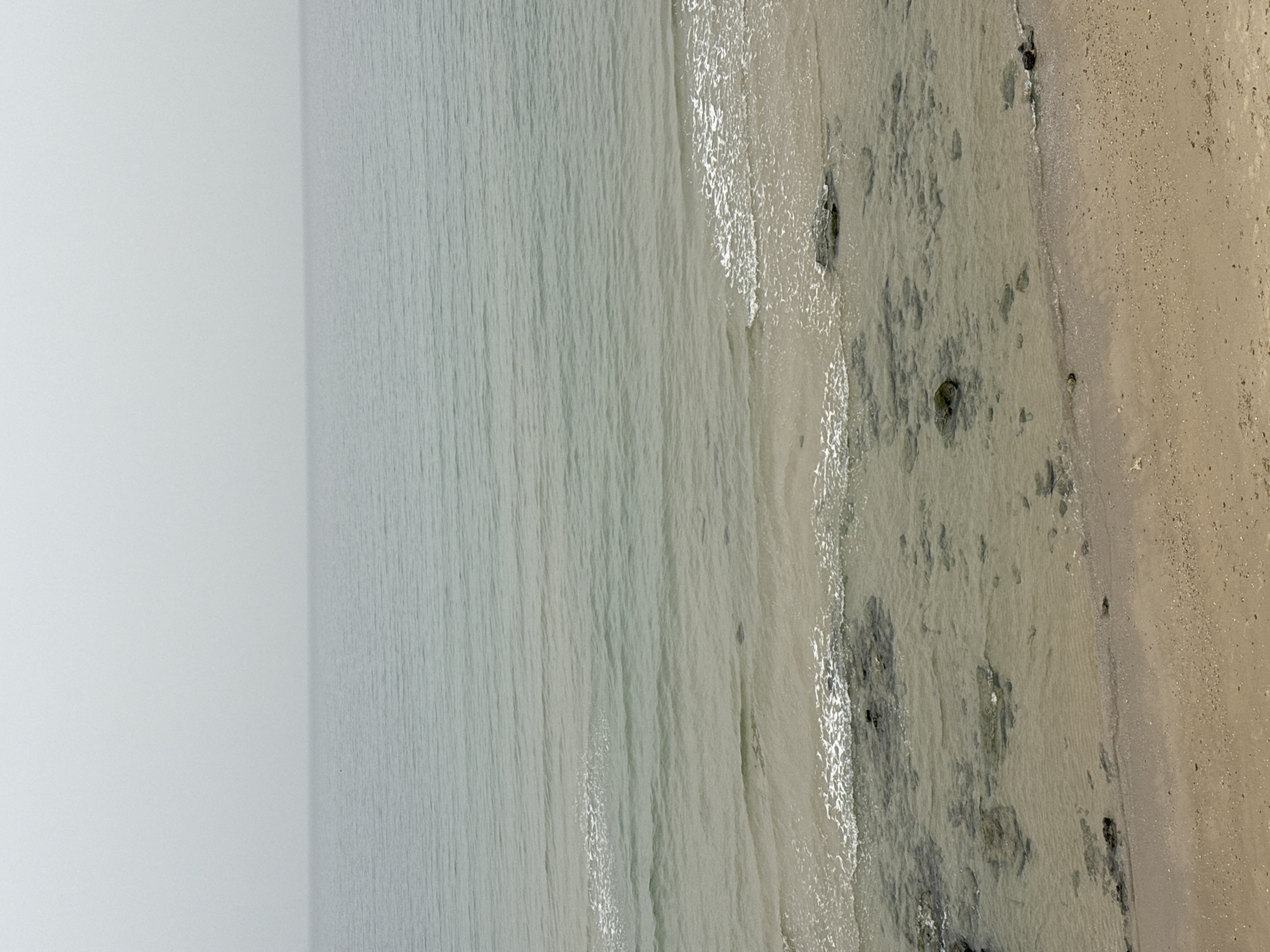 The image depicts a beach scene in Tel Aviv, Israel, from an elevated perspective. The sea is a muted greenish-gray, with gentle waves approaching the shore. The shoreline is a mixture of light tan sand and areas with visible rocks and seaweed. The sky is overcast, contributing to the muted color palette of the scene. No people are visible in the image.