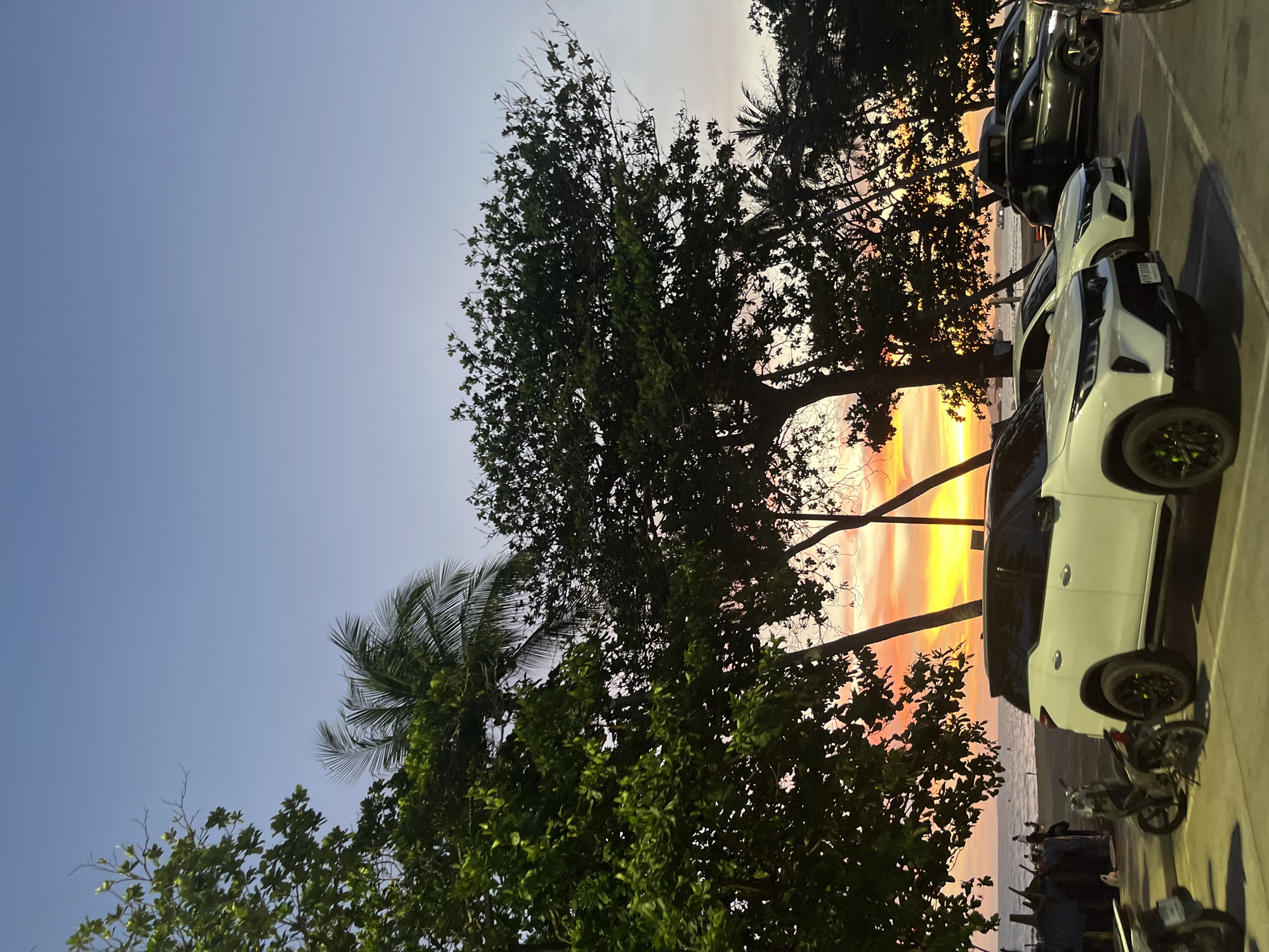 The image shows a sunset in Pattaya City, Thailand. Several trees are in the foreground, including a palm tree. Behind the trees is a parking lot with a row of parked cars. A beach and the ocean are visible behind the trees and cars. The sky has colors of blue, orange, yellow, and white.