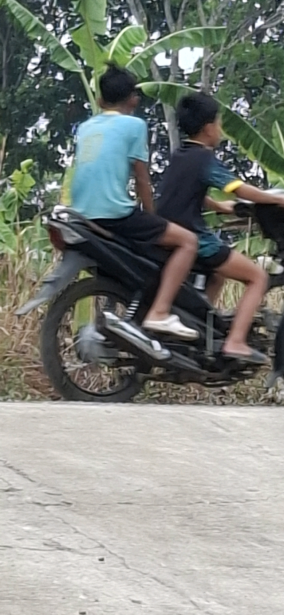 Two boys are riding on a motorcycle on a paved road in a rural area. The boy in front is wearing a blue t-shirt and black shorts. The boy in the back is wearing a black t-shirt with a green and yellow collar and black shorts. The motorcycle is black and appears to be moving. The background consists of lush green vegetation, including banana trees, and tall dry grass. The road surface is a light gray concrete with visible cracks. The scene is likely in Cibinong Hilir, Indonesia, given the tropical vegetation and the style of the motorcycle.