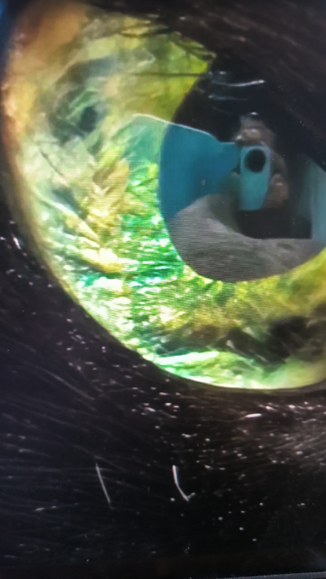 This is a close-up, pixelated photograph of a person's eye, reflected in another eye. The iris of the reflected eye displays vibrant green and yellow tones with intricate patterns. Within the pupil, a reflection shows a blue object, possibly a phone or camera, being held by a hand. The surrounding area of the eye is dark, with visible strands of dark hair. The image appears to be taken with a low-resolution camera or is a heavily compressed digital image. There is no discernible information about the location in Kovrov, Russia, as the image is abstract and lacks any contextual elements of a city or specific environment.