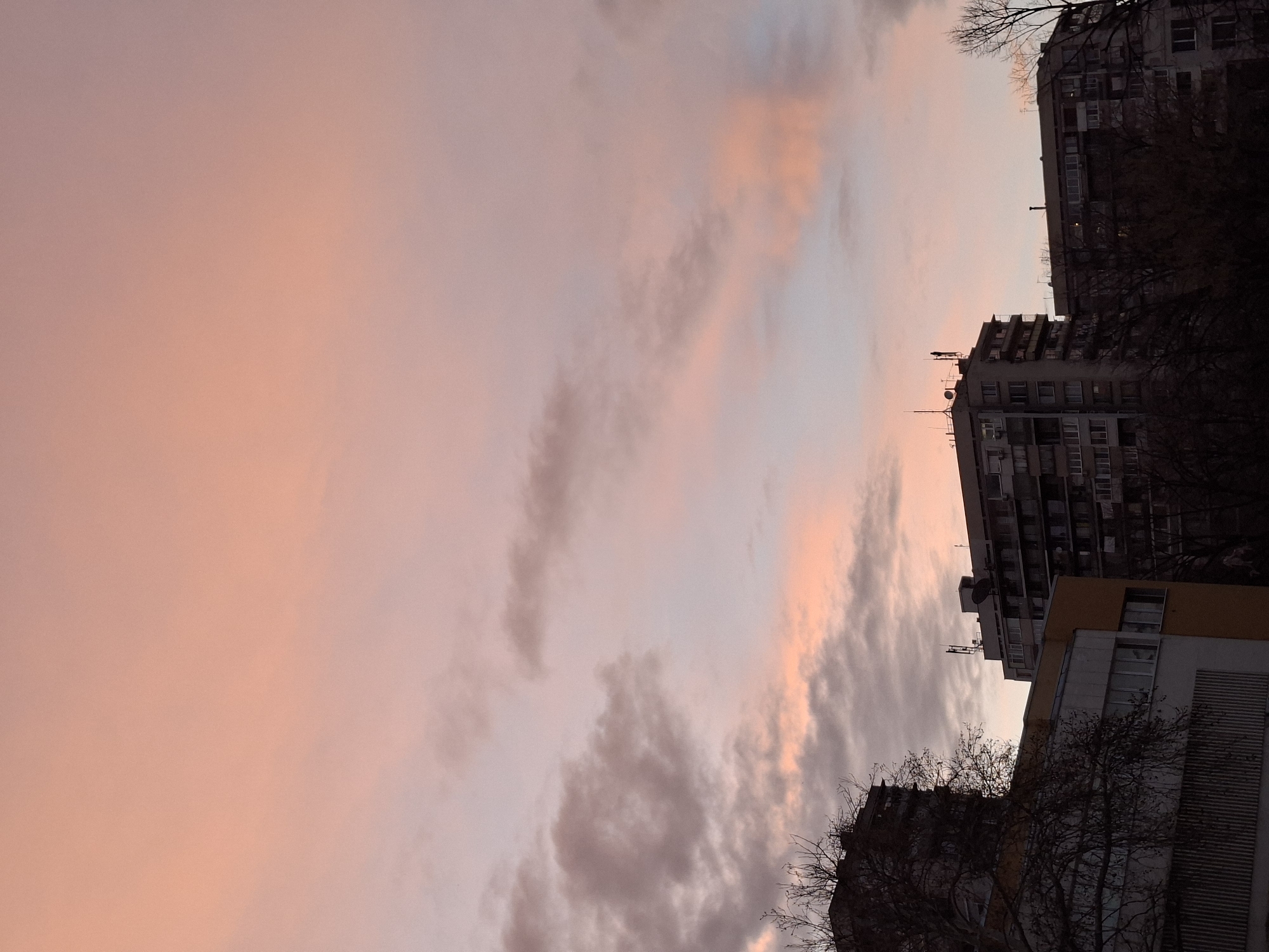 The image shows a sunset sky with pink and orange hues, punctuated by clouds. Silhouetted against the sky are several multi-story buildings, possibly apartments, with visible windows and architectural details. Bare tree branches are also silhouetted against the sky. The location is likely Plovdiv, Bulgaria, but specific identifying features are obscured by the angle and lighting.