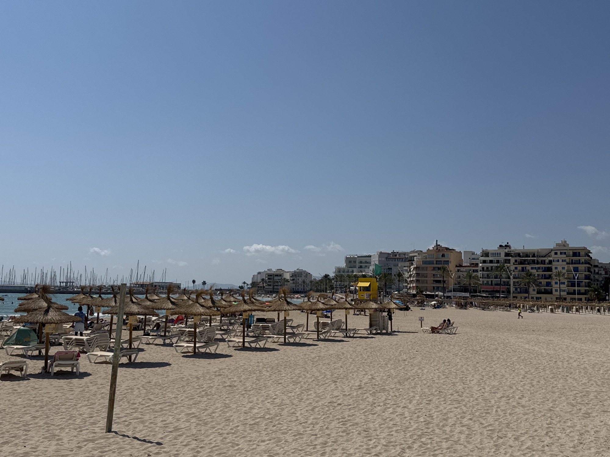 The image depicts a sunny day on a sandy beach in Palma de Mallorca, Spain. In the foreground, rows of thatched umbrellas and lounge chairs are set up on the sand. The beach is sparsely populated with a few individuals scattered among the chairs. To the left, a green tent is visible.
In the middle ground, the beach continues with more umbrellas and chairs, and several people are present. A lifeguard station with the number "12" is visible. The sea is in the background, with many sailboats docked in a marina to the left.
The background features a strip of buildings, including hotels and apartments, with palm trees interspersed among them. The sky is clear and blue with a few wispy clouds. The overall impression is a typical tourist beach scene on a bright, clear day.