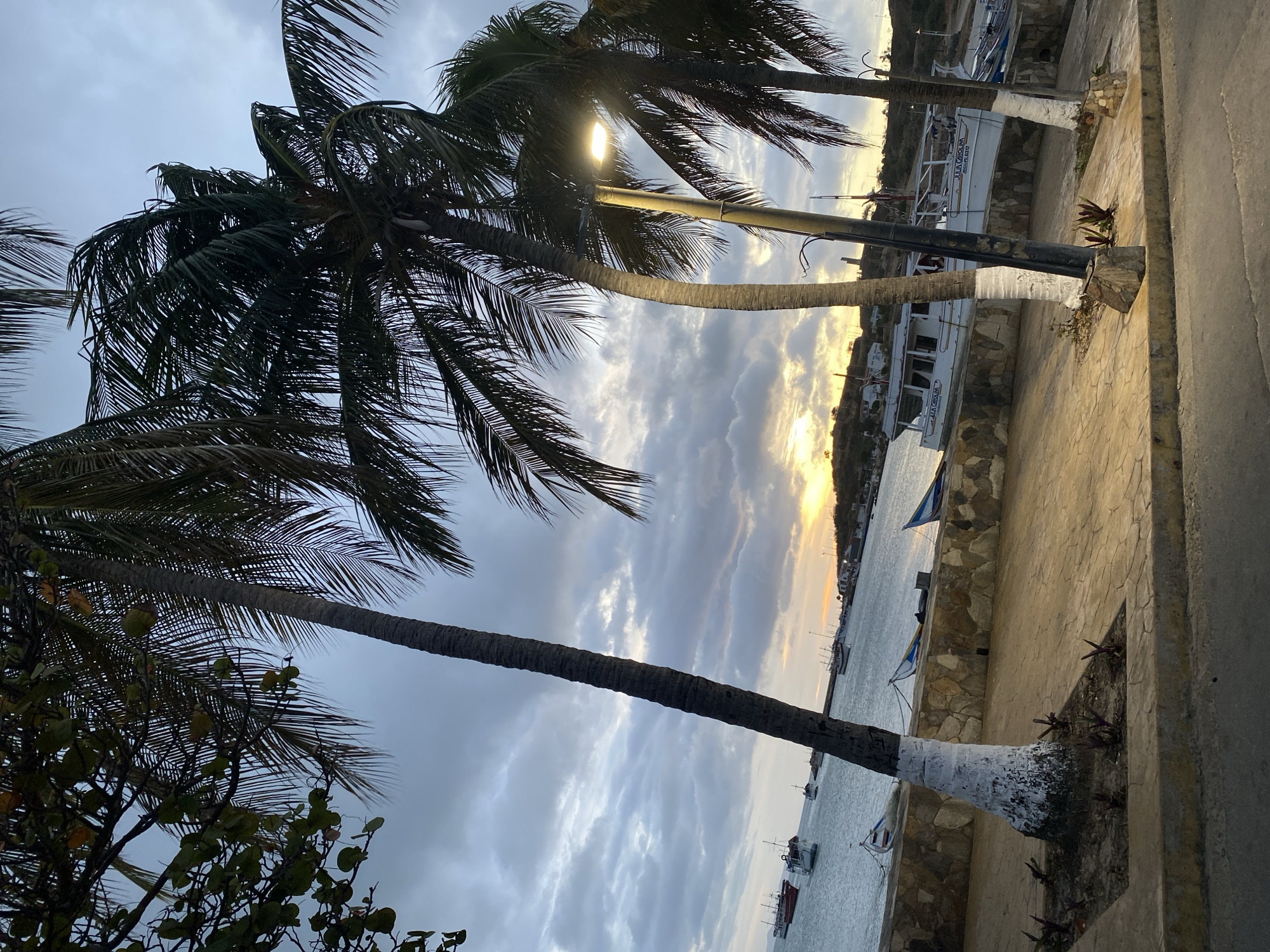 The image shows a waterfront scene in Juan Griego, Venezuela, taken at either dawn or dusk. Three prominent palm trees line the waterfront, their trunks painted white at the base. A street light stands between two of the trees. Behind the trees is a paved area with a low stone wall separating it from the water. Several boats are visible in the water, along with flags. The sky is filled with clouds, and the sun is either rising or setting on the horizon.