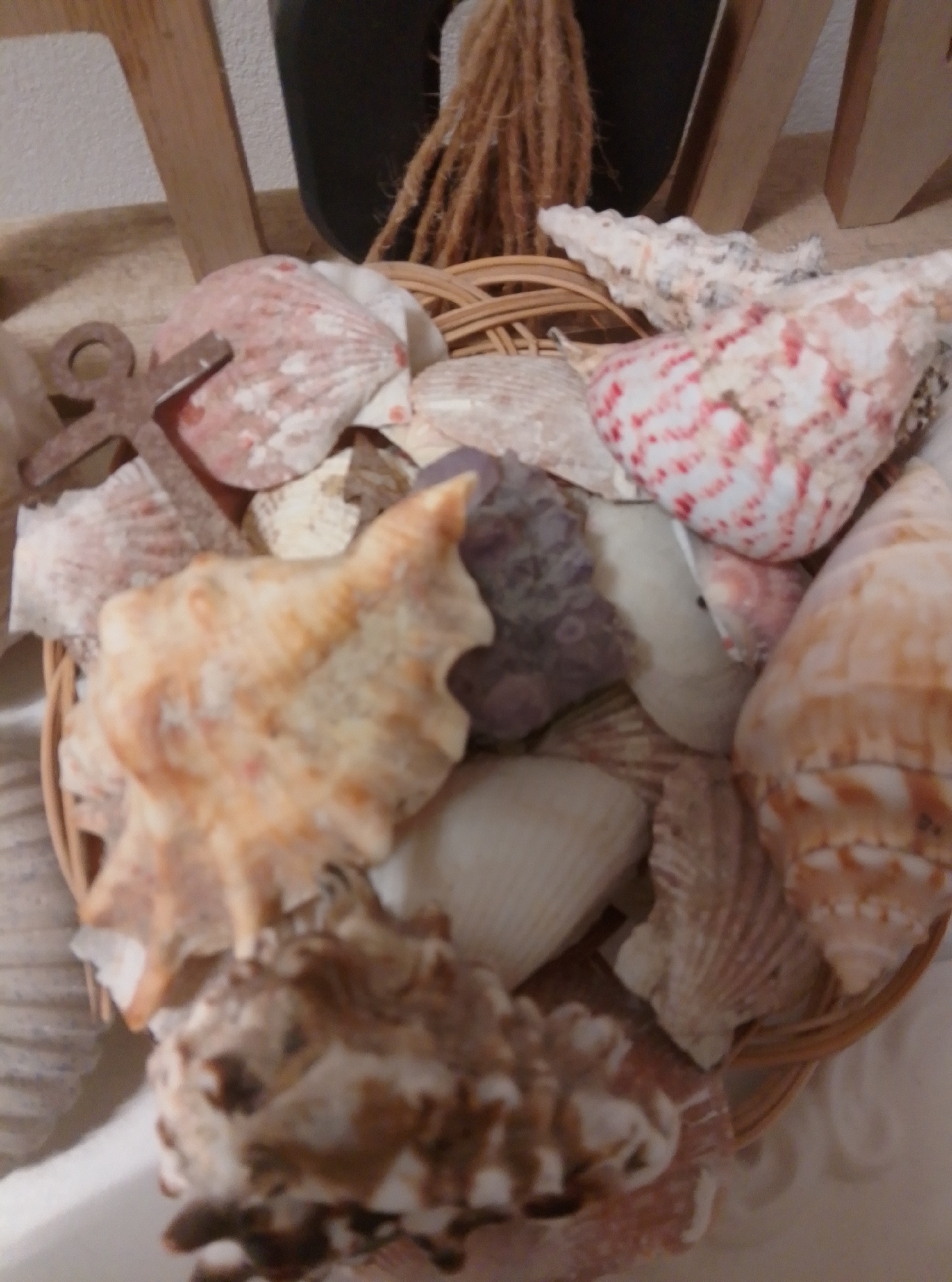 The image shows a close-up of a wicker basket filled with various seashells and a small anchor decoration. The shells are of different sizes, shapes, and colors, including pink, white, and beige. Some shells have intricate patterns and textures. The anchor is metallic and appears to be an antique or decorative piece. The background is blurred but suggests an indoor setting with wooden elements, possibly furniture or a wall. The lighting is natural and soft, highlighting the details of the shells. The image does not contain any information that would indicate its location in Wedel, Germany, or any specific city.