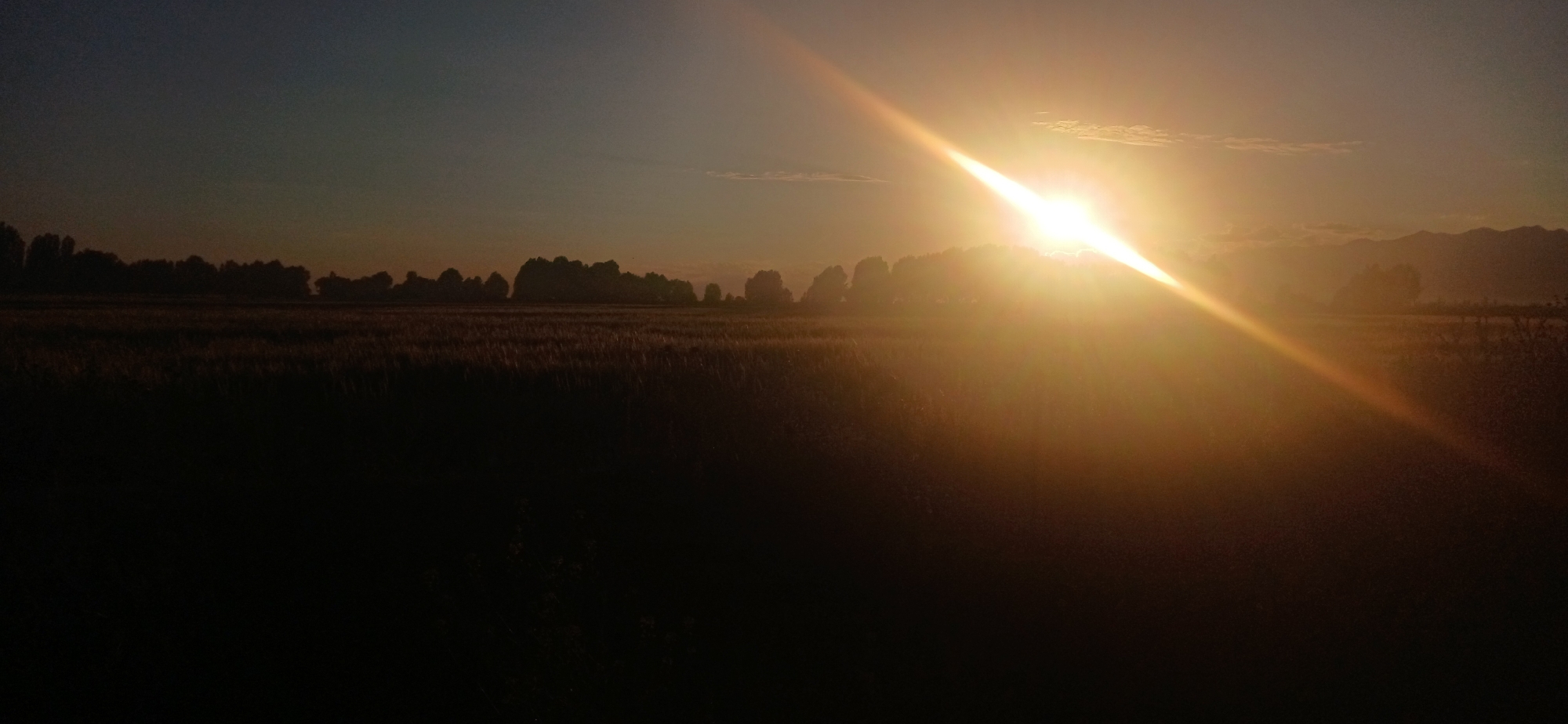 A broad, low-angle, outdoor, photographic image shows a golden sunset over a field in Mihaylovka, Kyrgyzstan. The sun, a bright white orb, shines from the upper right quadrant of the image, casting a powerful, diagonal beam of light across the sky and into the landscape. A faint, hazy glow emanates from the sun, creating a lens flare effect. The sky transitions from a deep, dark blue at the top to a lighter, warm orange near the horizon. A silhouetted line of trees stretches across the middle ground, bordering a field of what appears to be dry grass or crops. The foreground is entirely dark, obscuring any details of the ground itself. In the far distance, faint mountain shapes are visible against the horizon, shrouded in a light mist or haze. The overall impression is one of a serene and dramatic natural landscape at dusk.