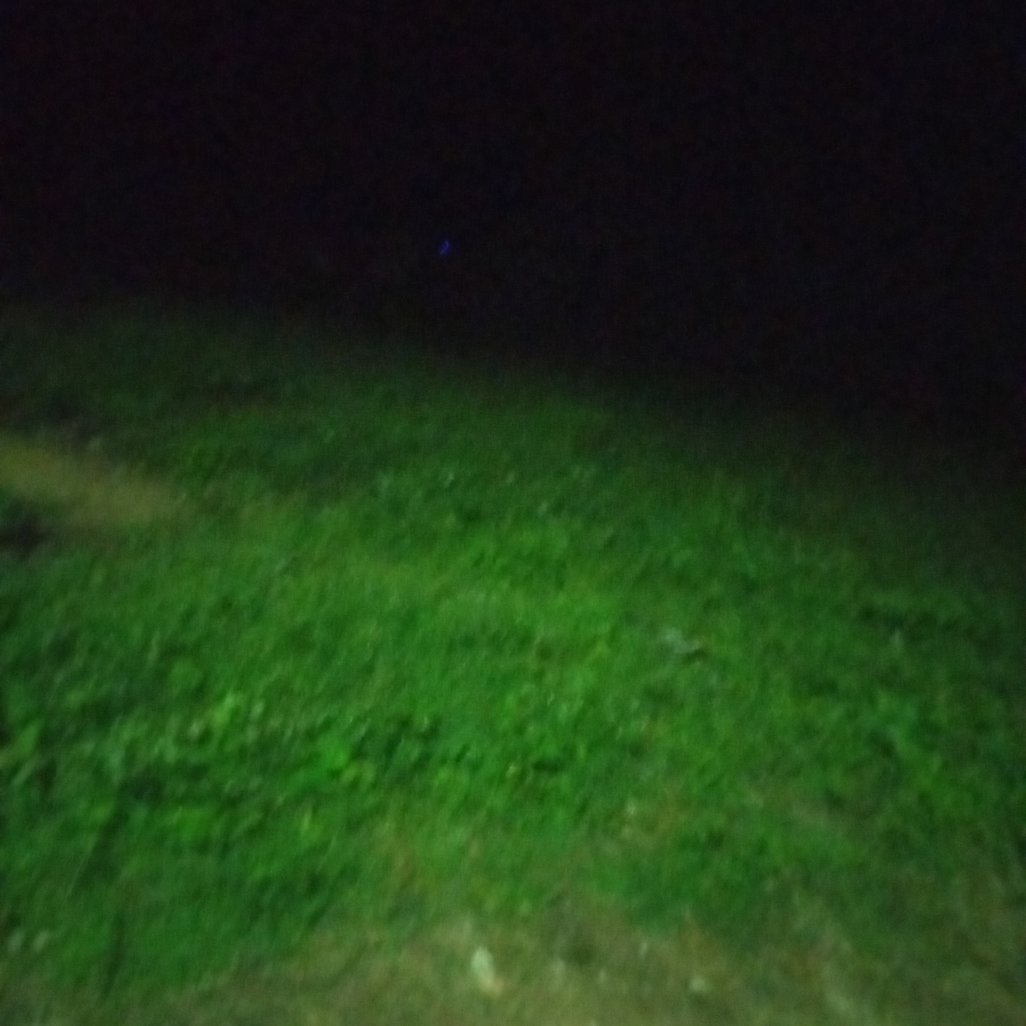 The image is a nighttime, out-of-focus photograph of a grassy area. The top portion of the image is dark, suggesting the sky or a dimly lit background. A small, faint blue light is visible in the upper middle section of the image. The lower portion of the image is dominated by a green, blurry expanse of grass, with some lighter patches that might indicate variations in the grass or ground cover. The overall impression is one of low light conditions and a lack of clear detail.