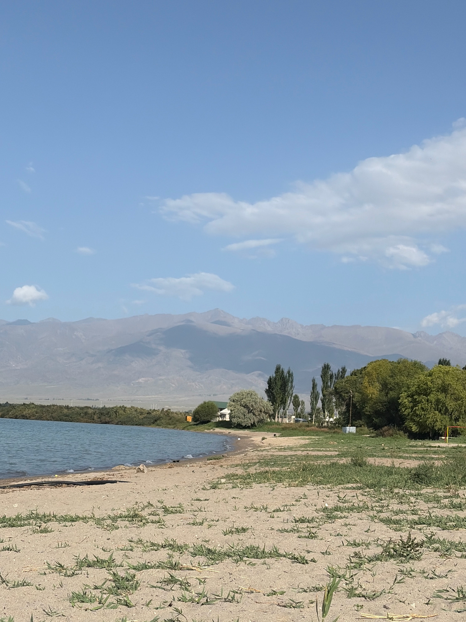 The image shows a tranquil lakefront scene with a sandy beach in the foreground. The beach is sparsely covered with green grass and scattered debris. The lake's surface is calm, reflecting the clear blue sky with scattered white clouds. In the middle ground, a line of trees separates the beach from a distant mountain range, which is partly obscured by haze. A few buildings are visible among the trees. The overall impression is one of a serene natural landscape.