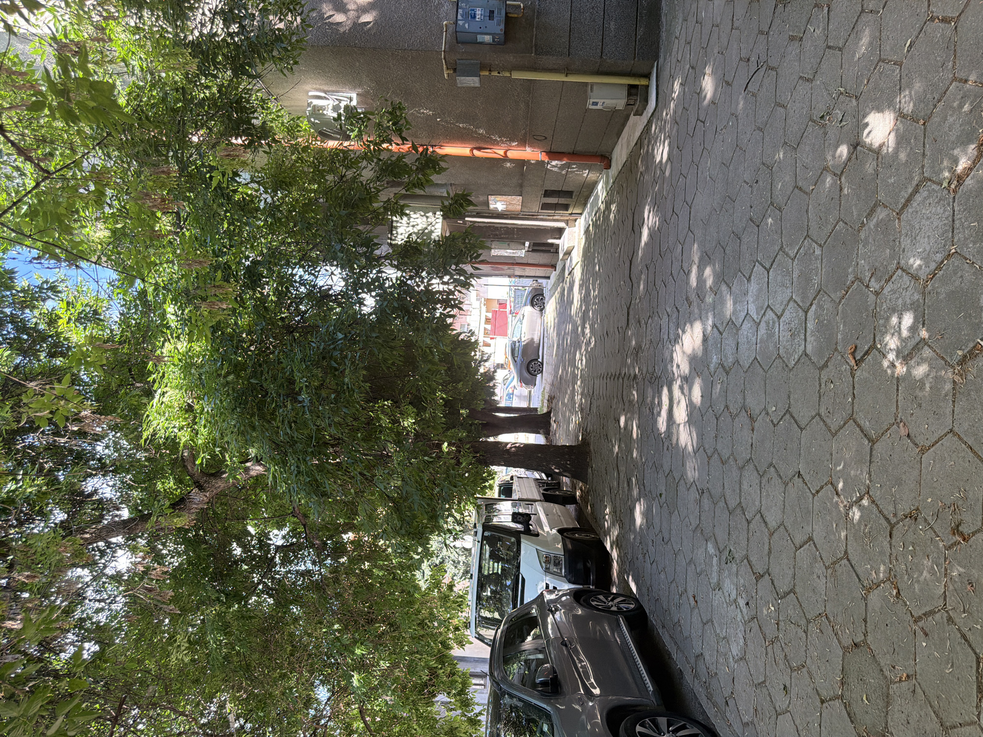 The image depicts a sidewalk in Pazardzhik, Bulgaria, lined with parked vehicles and mature trees. The sidewalk is paved with hexagonal concrete tiles and is partially covered by the dappled shadows of the leaves. On the left side of the image, a grey SUV is parked closest to the viewer, followed by a white van. Further down the street, other vehicles are visible, including cars and potentially another van. To the right of the sidewalk is a multi-story building with a grey facade. An orange downspout runs vertically along the building's exterior, and electrical or utility boxes are mounted on the wall. The sky is visible through the branches of the trees, suggesting an outdoor urban setting during the daytime. No people are visible in the image.