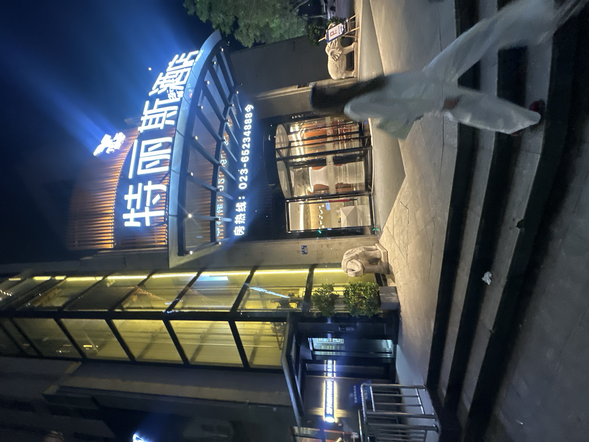 At night, an illuminated hotel entrance features a prominent sign with white Chinese characters that read "特 丽 斯 酒店" (Tèlǐsī Jiǔdiàn), meaning "Teres Hotel," and a phone number, "023-65234888." To the left of the entrance, a glass elevator shaft with internal lighting is visible. Stone elephant statues are positioned on either side of the entrance, with one on the right holding a parking sign. A person in white clothing is walking away from the camera on the stairs leading up to the entrance. The scene takes place in Chongqing High-tech Zone, China.