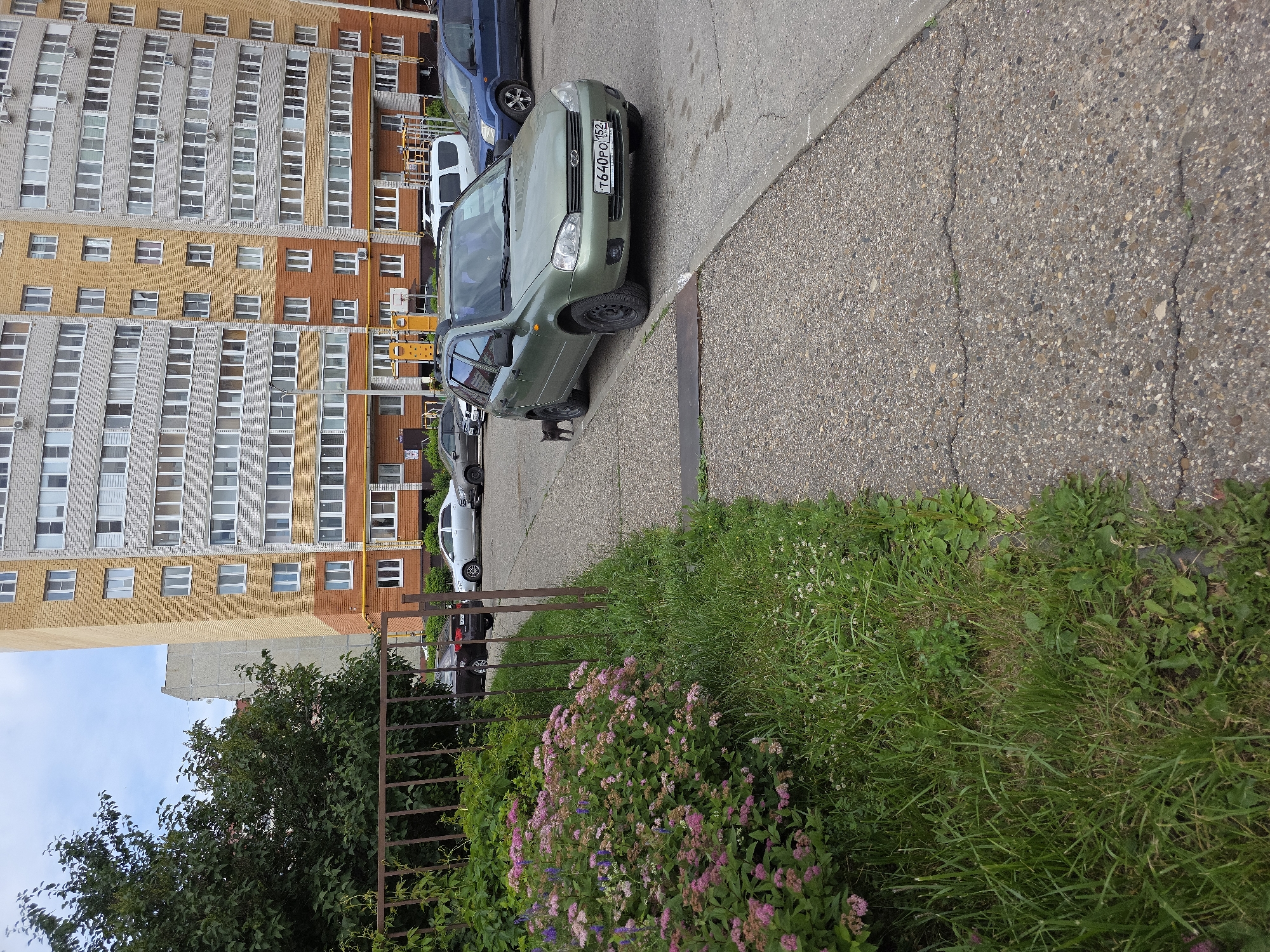 This outdoor, medium-angle shot captures a street scene in Novocheboksarsk, Russia, dominated by a multi-story apartment building. The building exhibits a grid-like facade with alternating sections of brick and light-colored panels, punctuated by numerous windows. In the foreground, a grey sedan is parked on a paved area beside a grassy verge. The sedan has a visible license plate with Cyrillic characters and numbers. Beyond the sedan, other vehicles, including a white van and a dark blue car, are also parked. A rusty metal fence runs horizontally across the lower portion of the image, separating the paved area from a patch of lush green grass and flowering bushes with pink and purple blooms. The sky is visible in the upper left corner, suggesting it is daytime. The overall atmosphere appears to be one of a typical urban residential environment.
